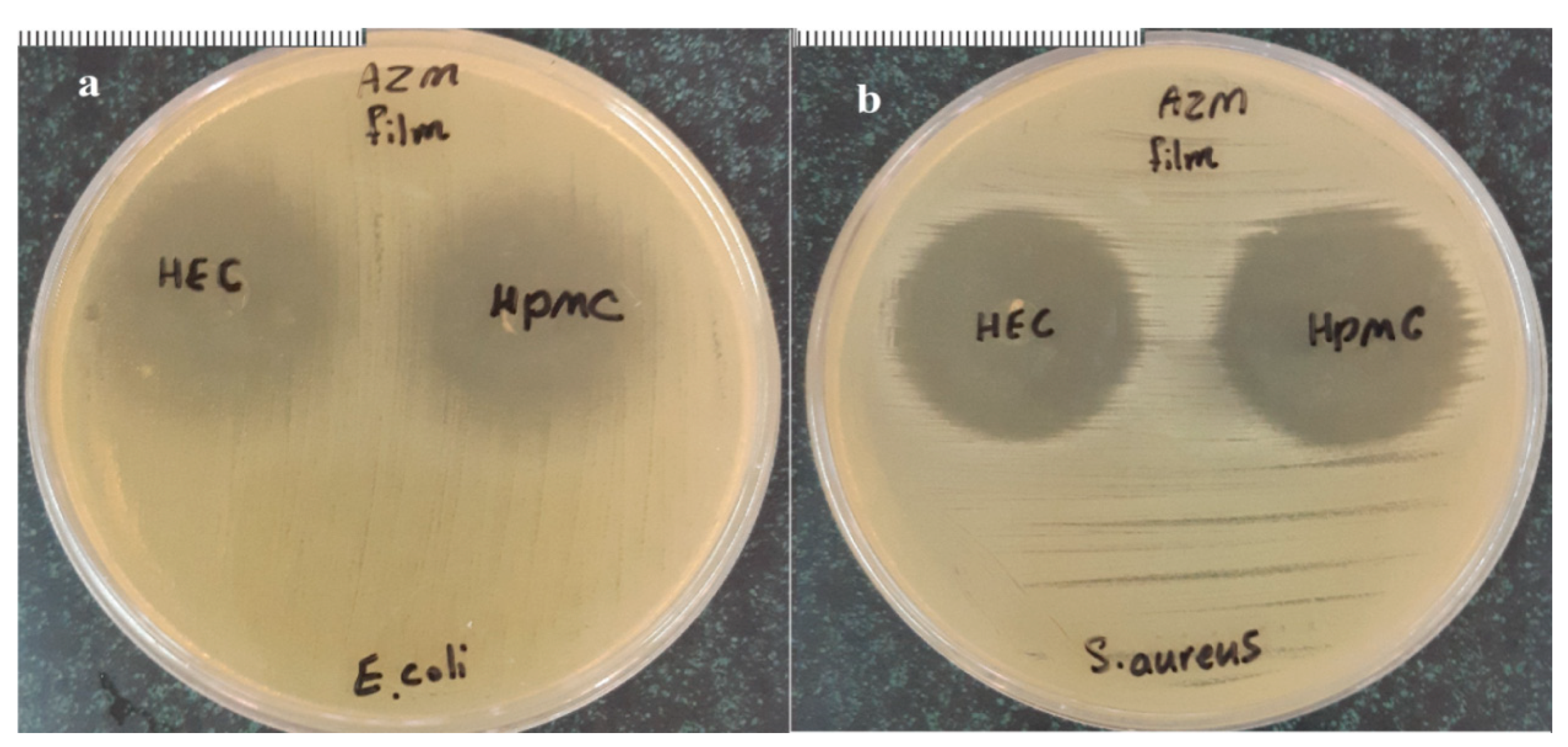 Biomedicines 08 00466 g008 Biomedicines 08 00466 g008