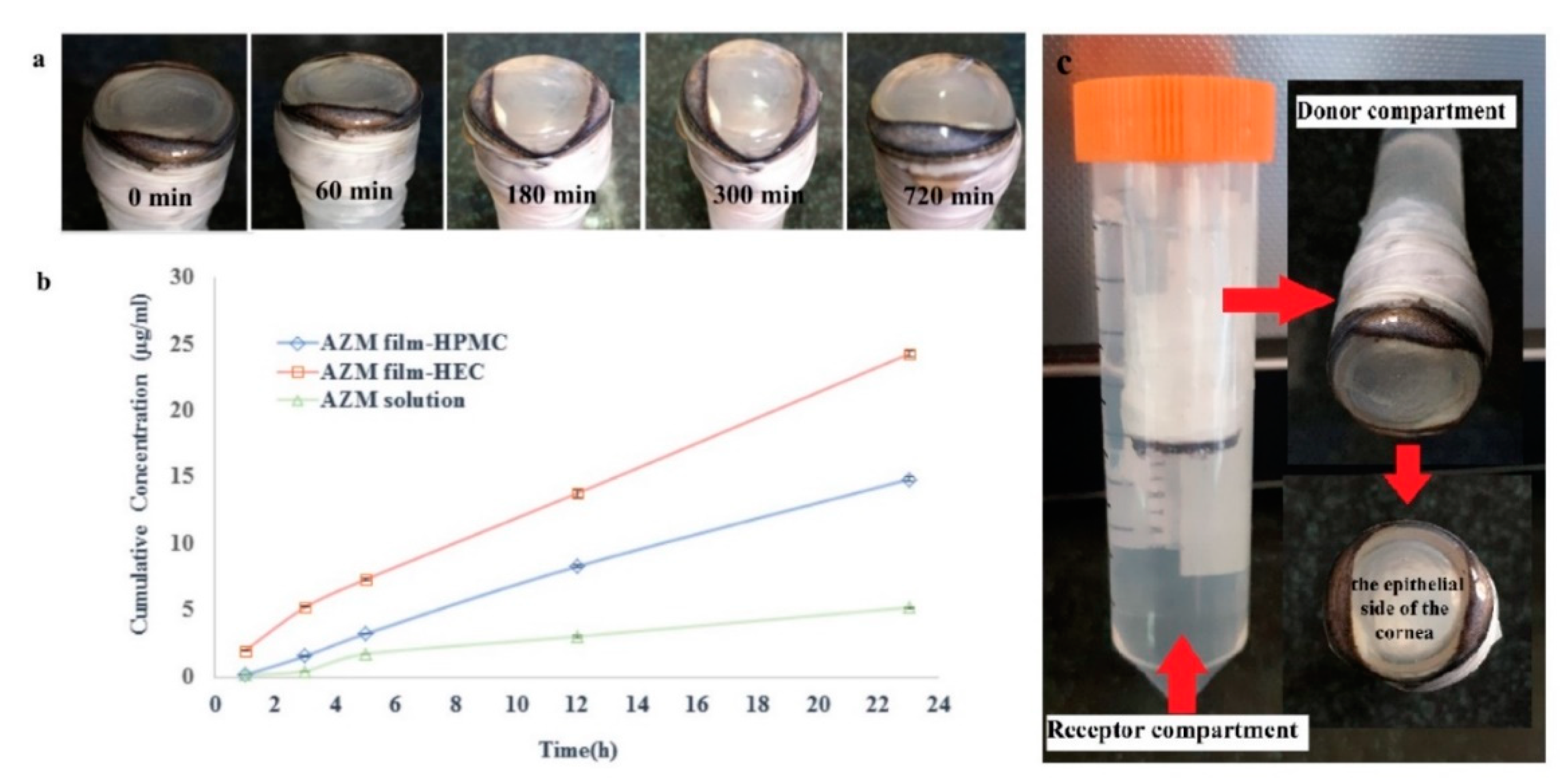 Biomedicines 08 00466 g010 Biomedicines 08 00466 g010