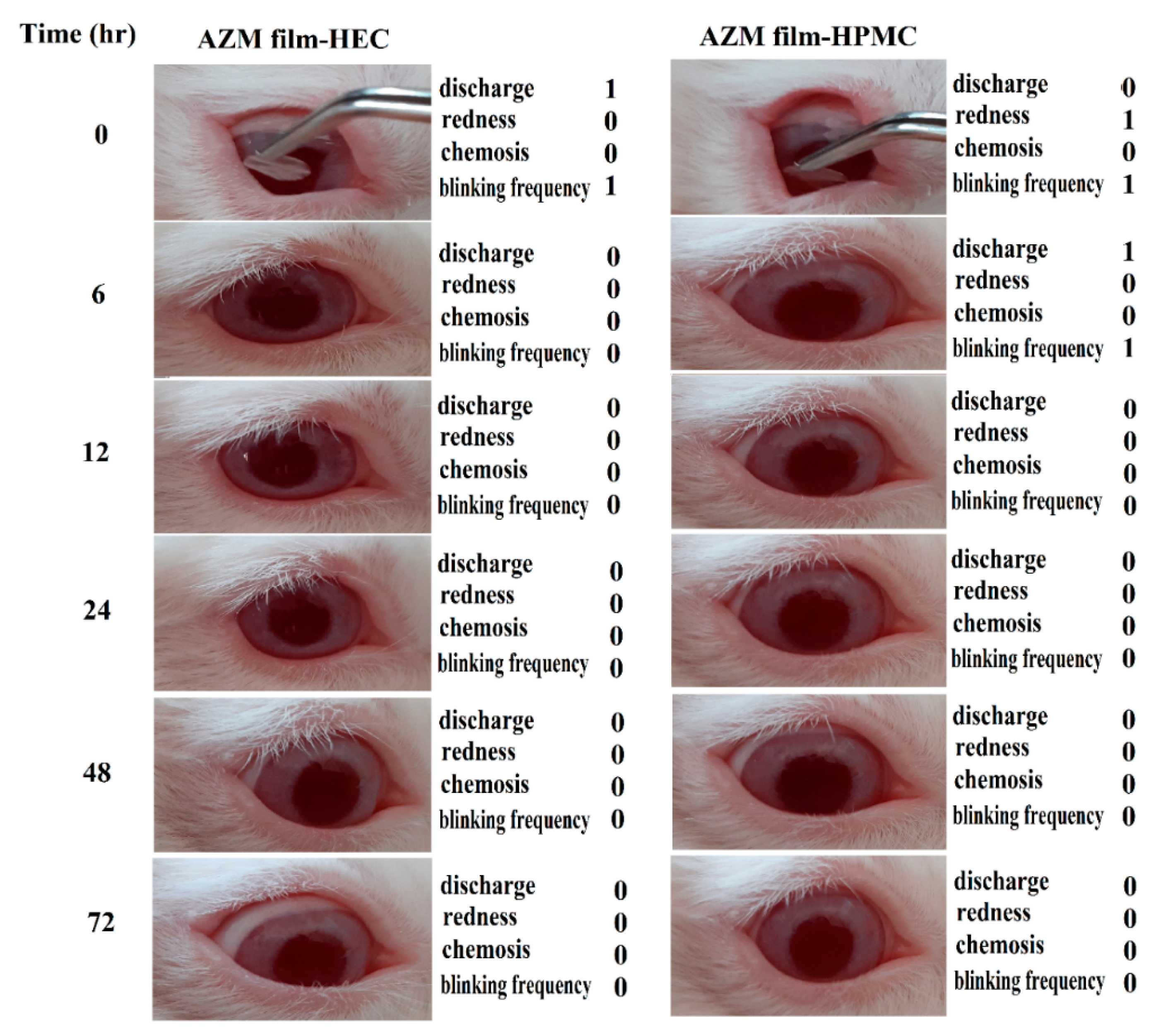 Biomedicines 08 00466 g011 Biomedicines 08 00466 g011