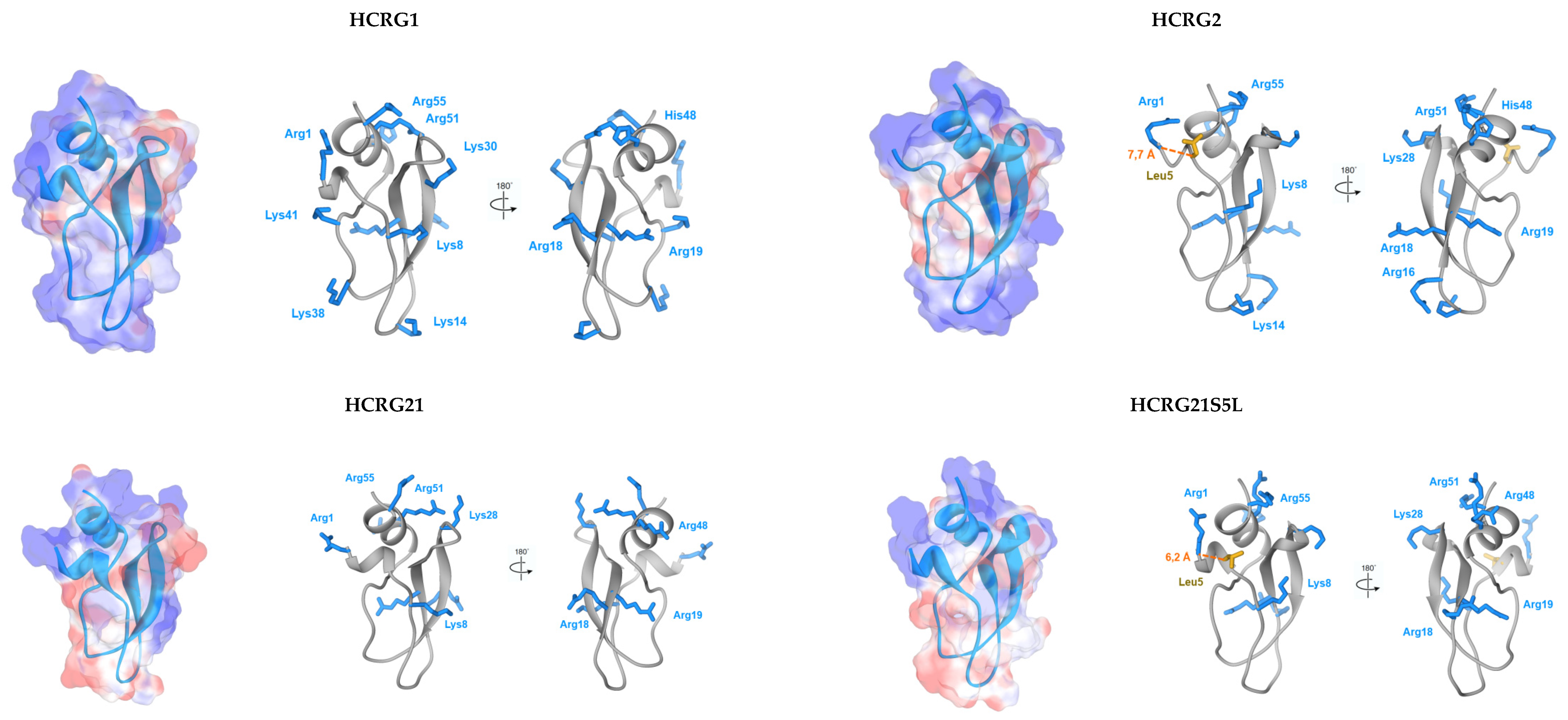 Biomedicines 08 00473 g009