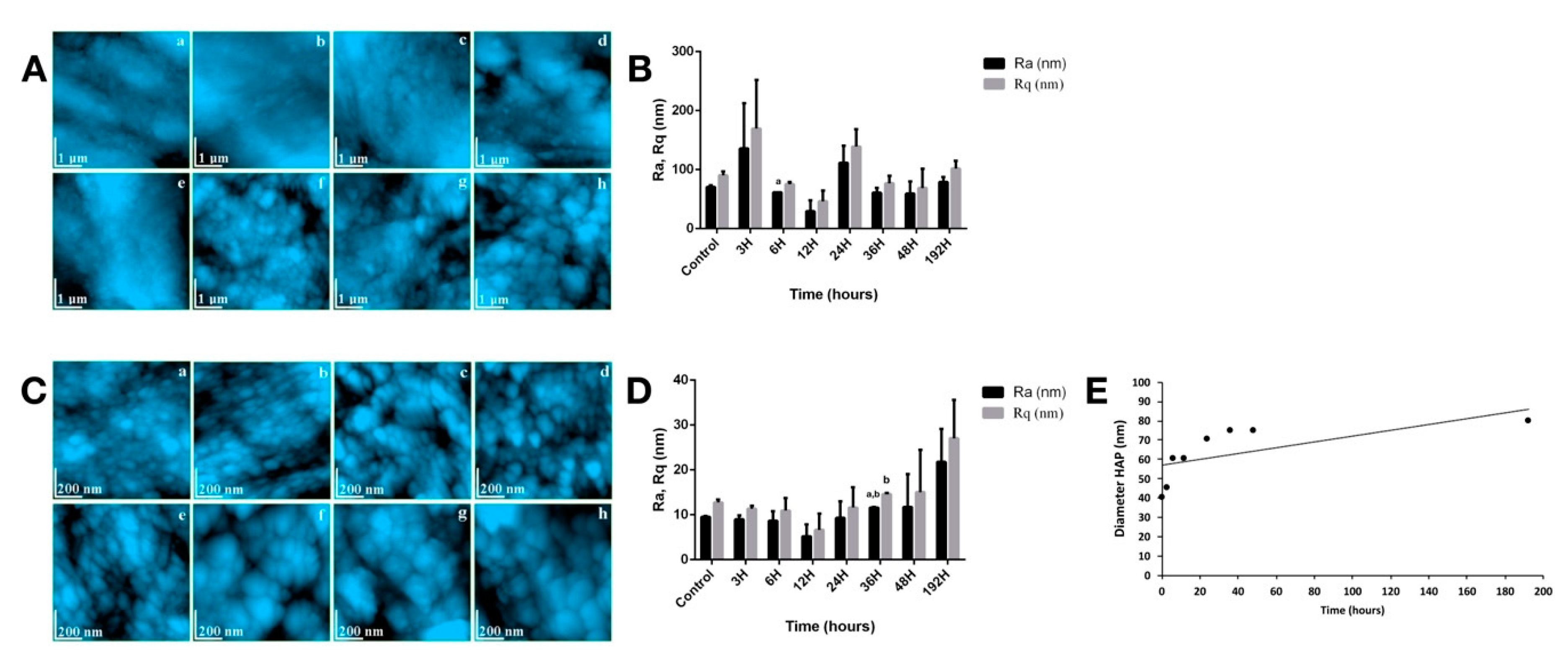 Biomedicines 08 00475 g002