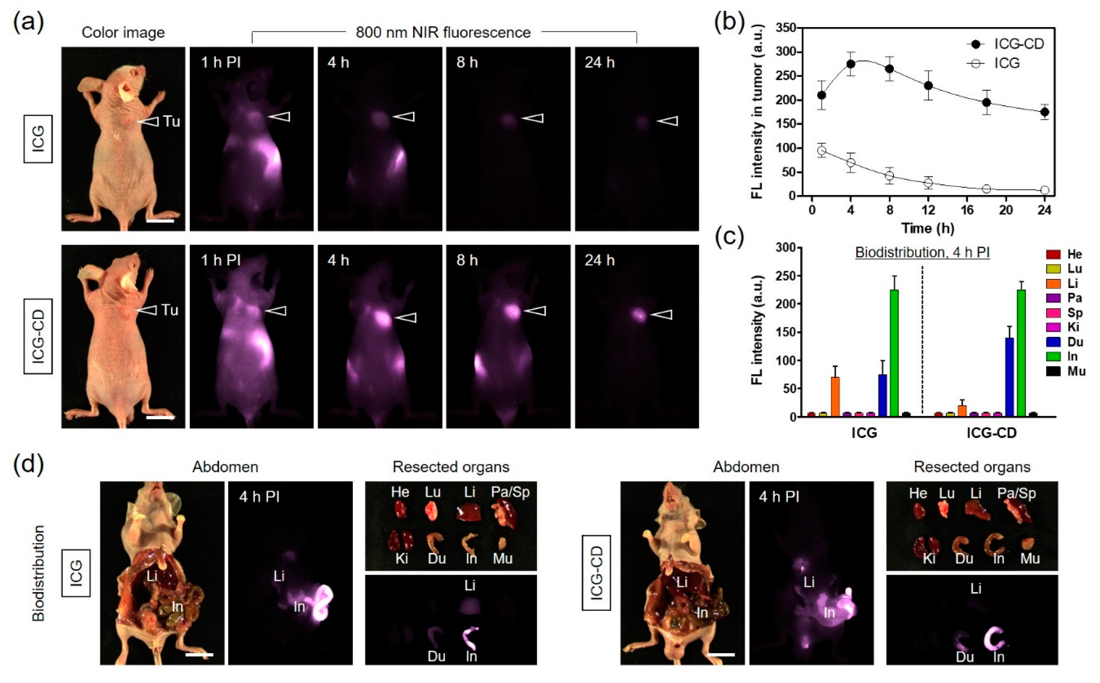 Biomedicines 08 00476 g004 Biomedicines 08 00476 g004