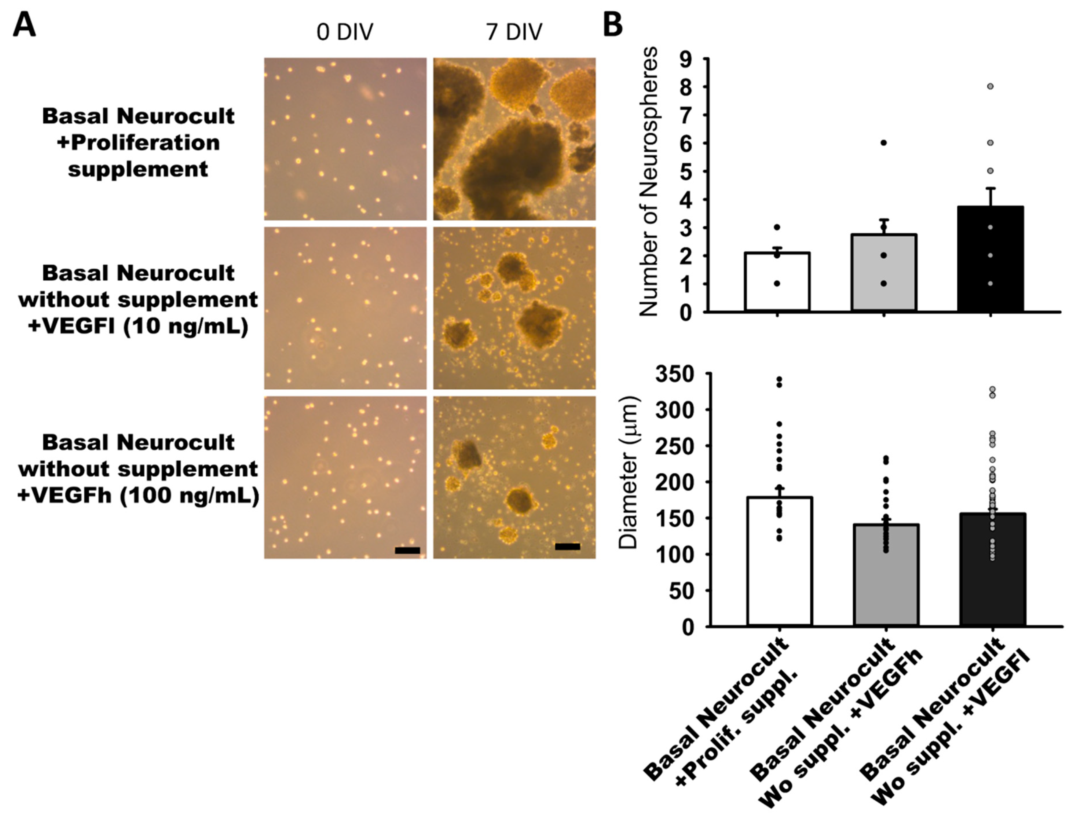 Biomedicines 08 00483 g002
