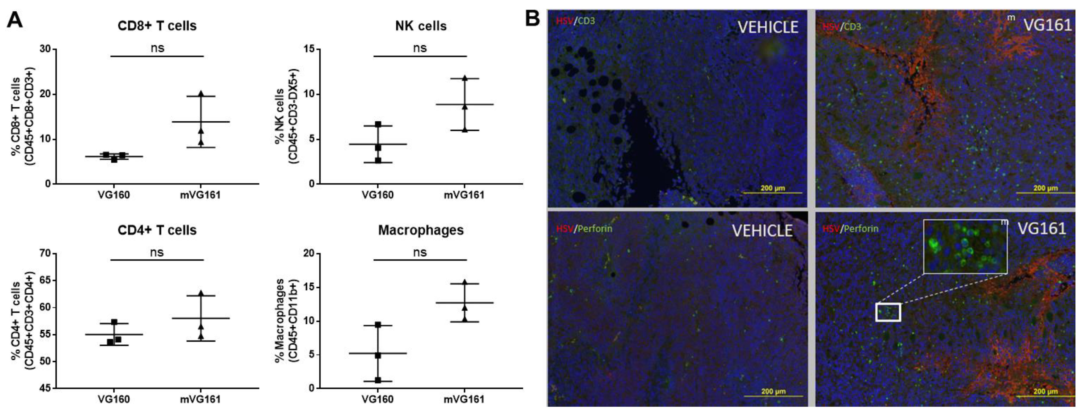 Biomedicines 08 00484 g009