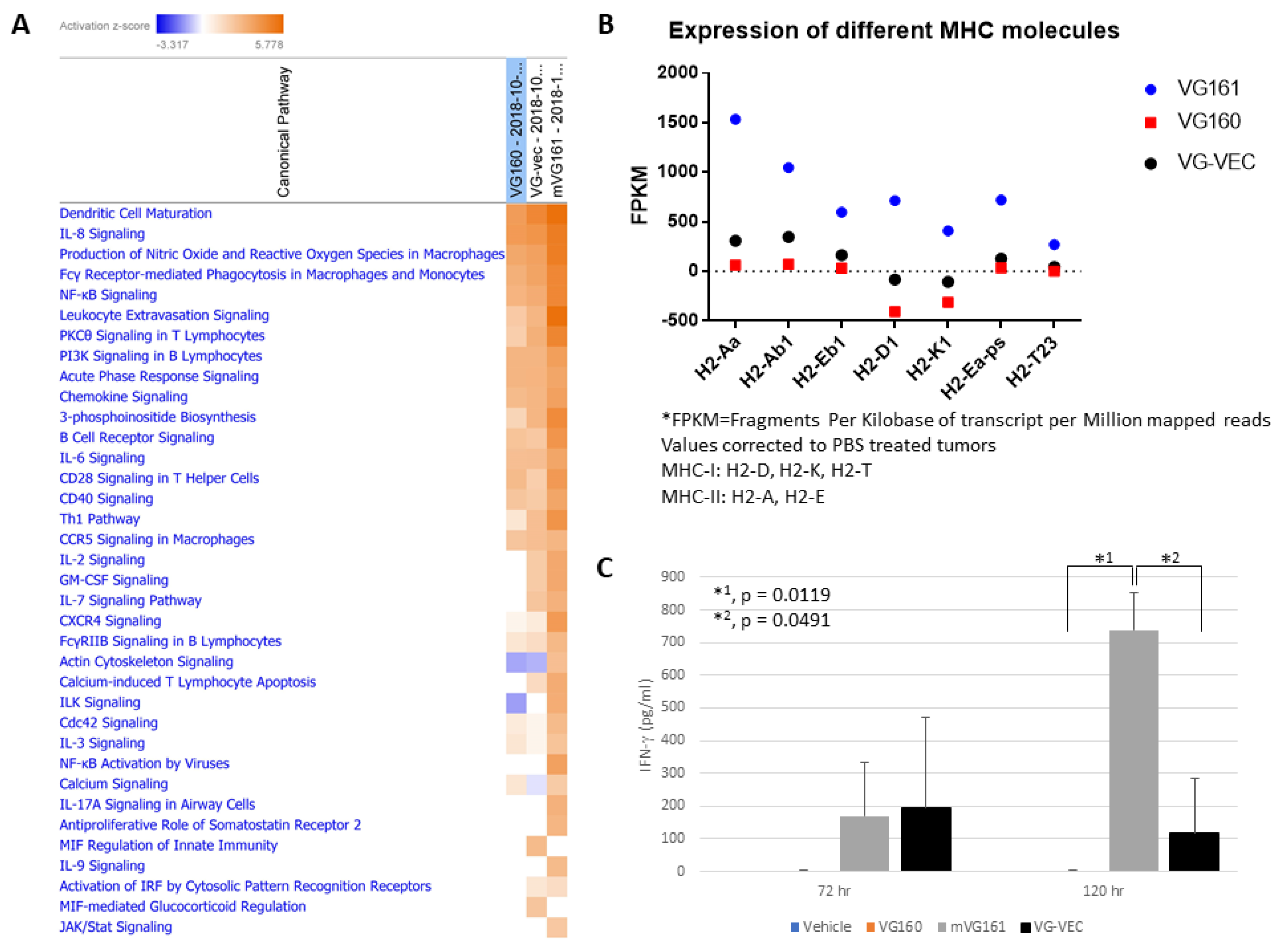Biomedicines 08 00484 g010