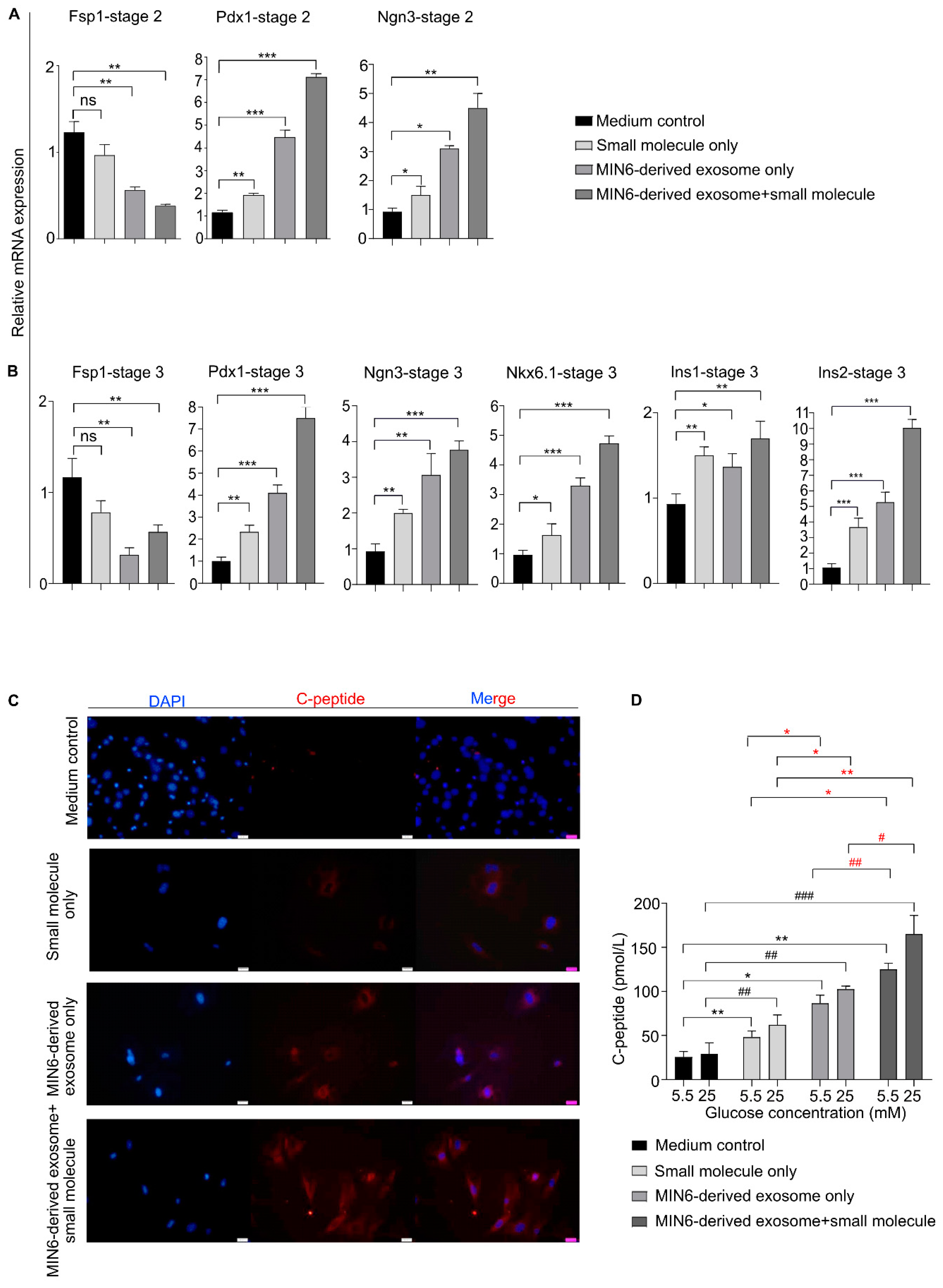 Biomedicines 08 00485 g004 Biomedicines 08 00485 g004