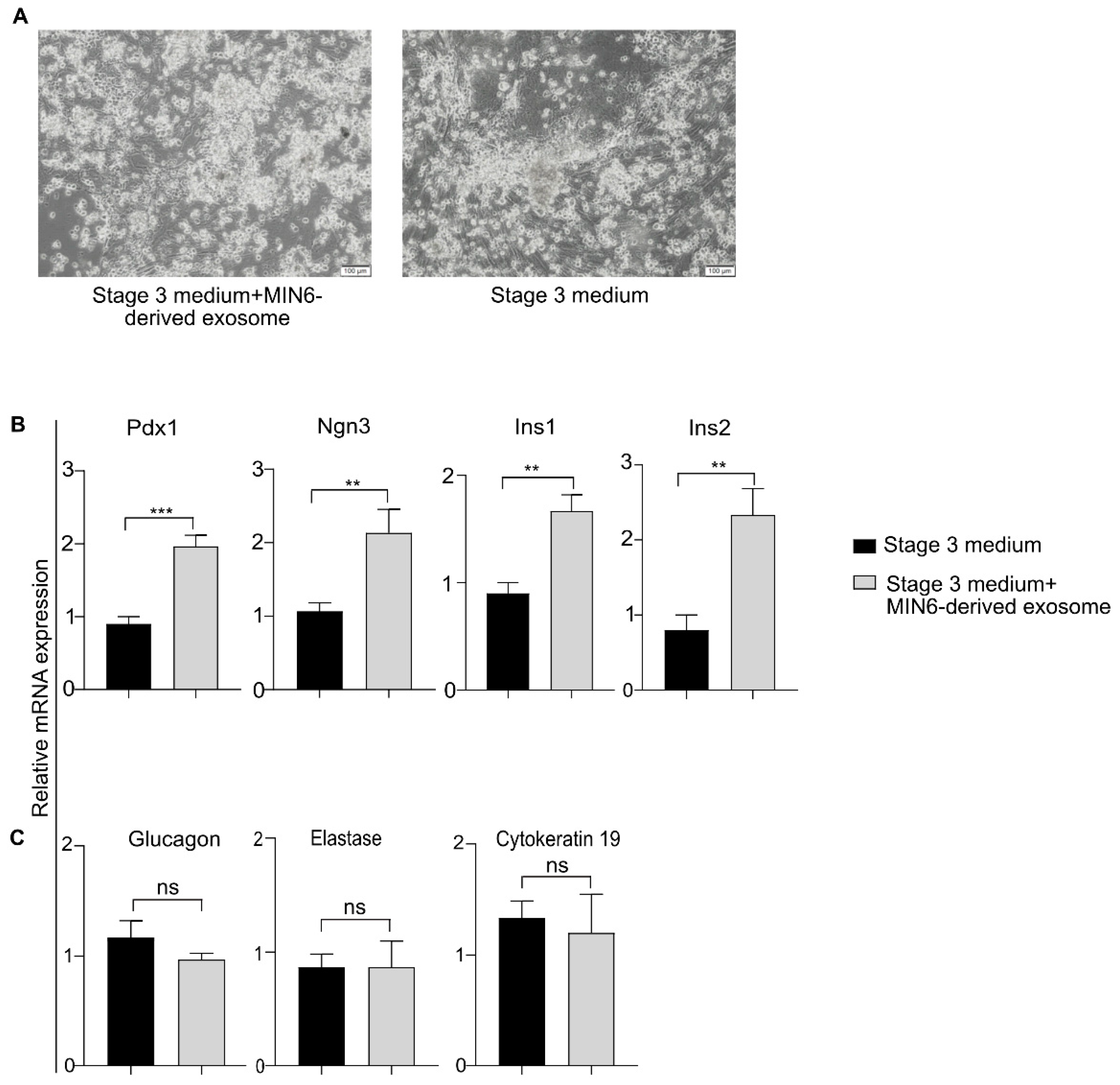 Biomedicines 08 00485 g005 Biomedicines 08 00485 g005