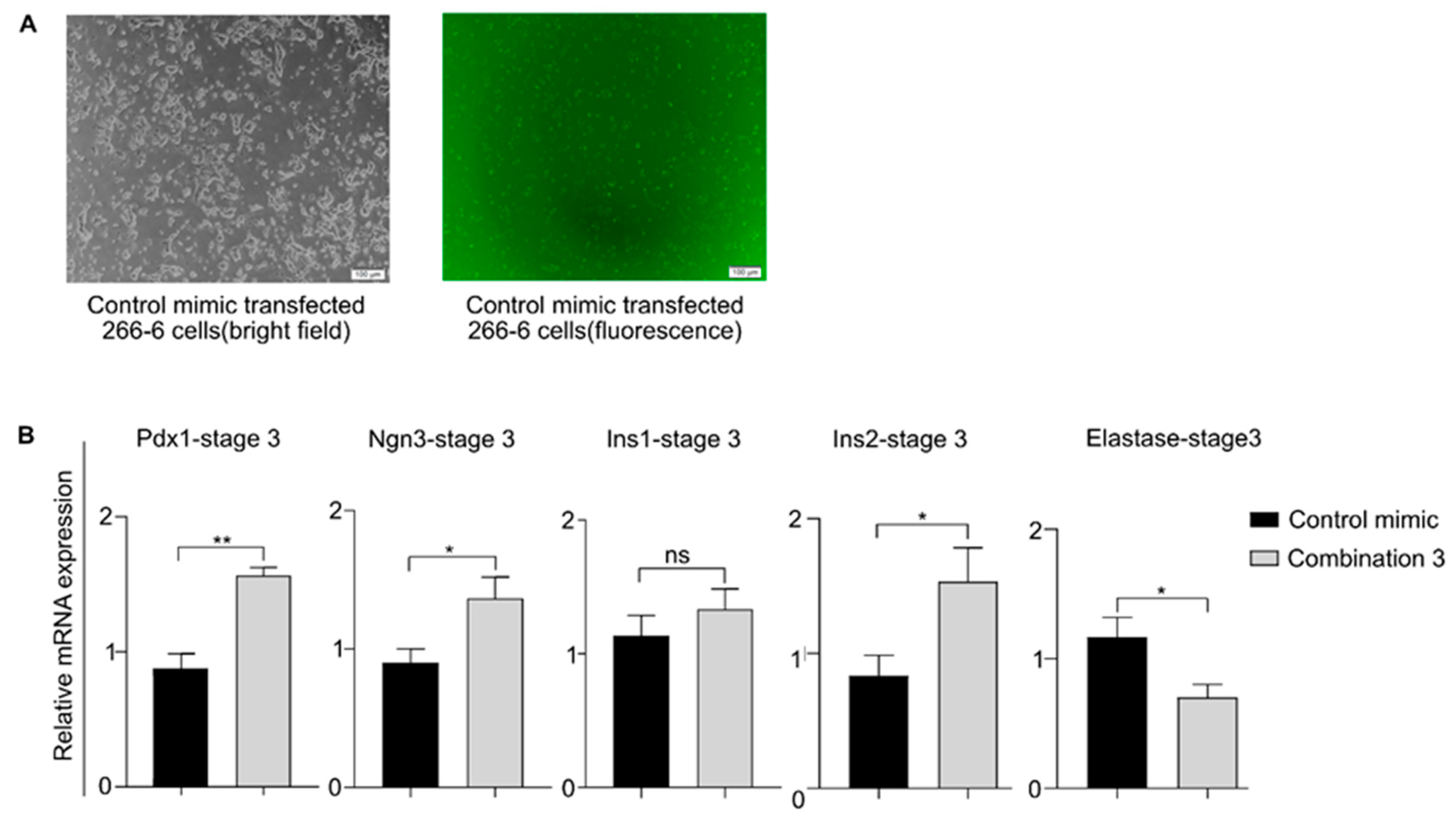 Biomedicines 08 00485 g008 Biomedicines 08 00485 g008