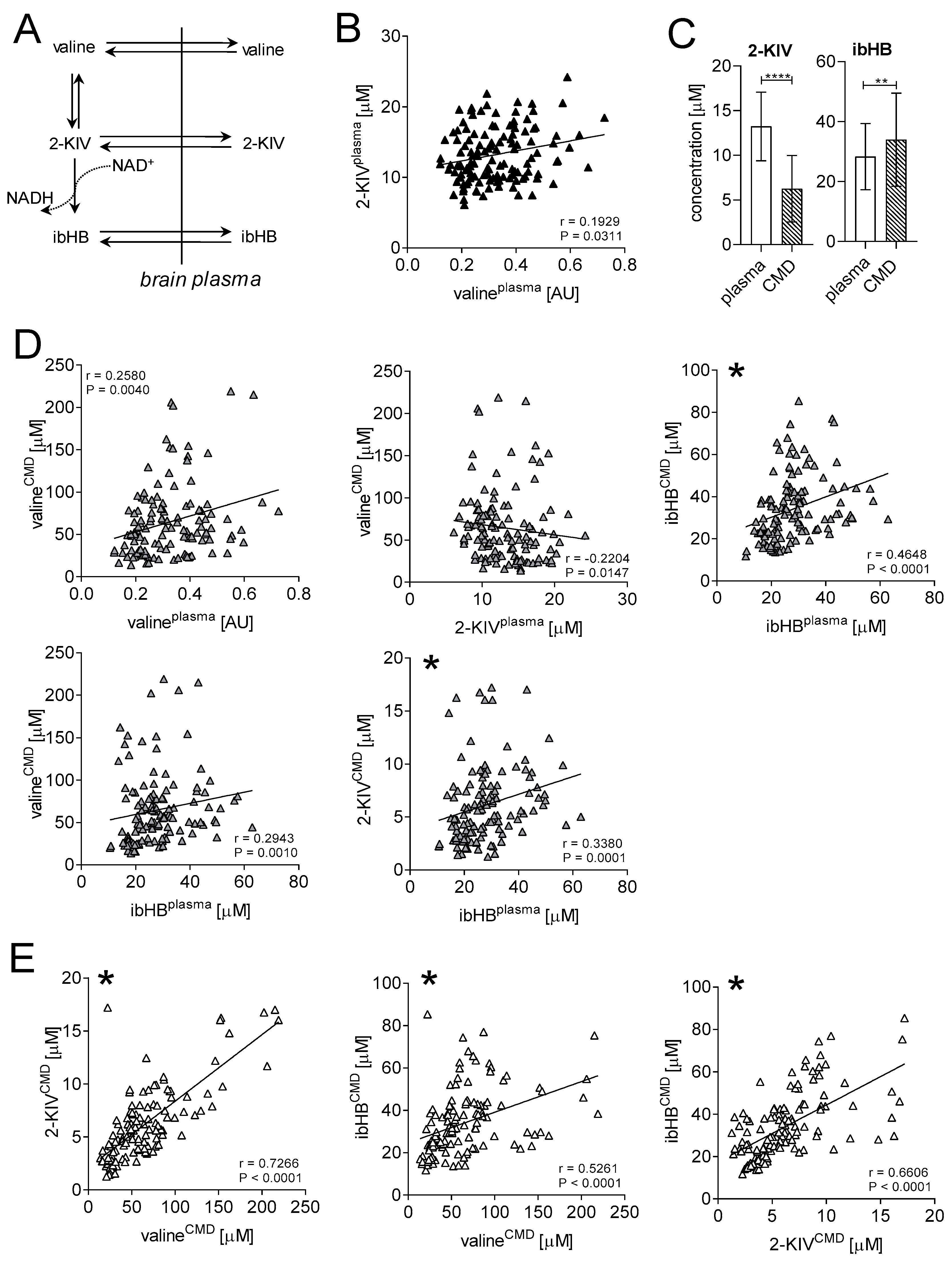 Biomedicines 08 00487 g001