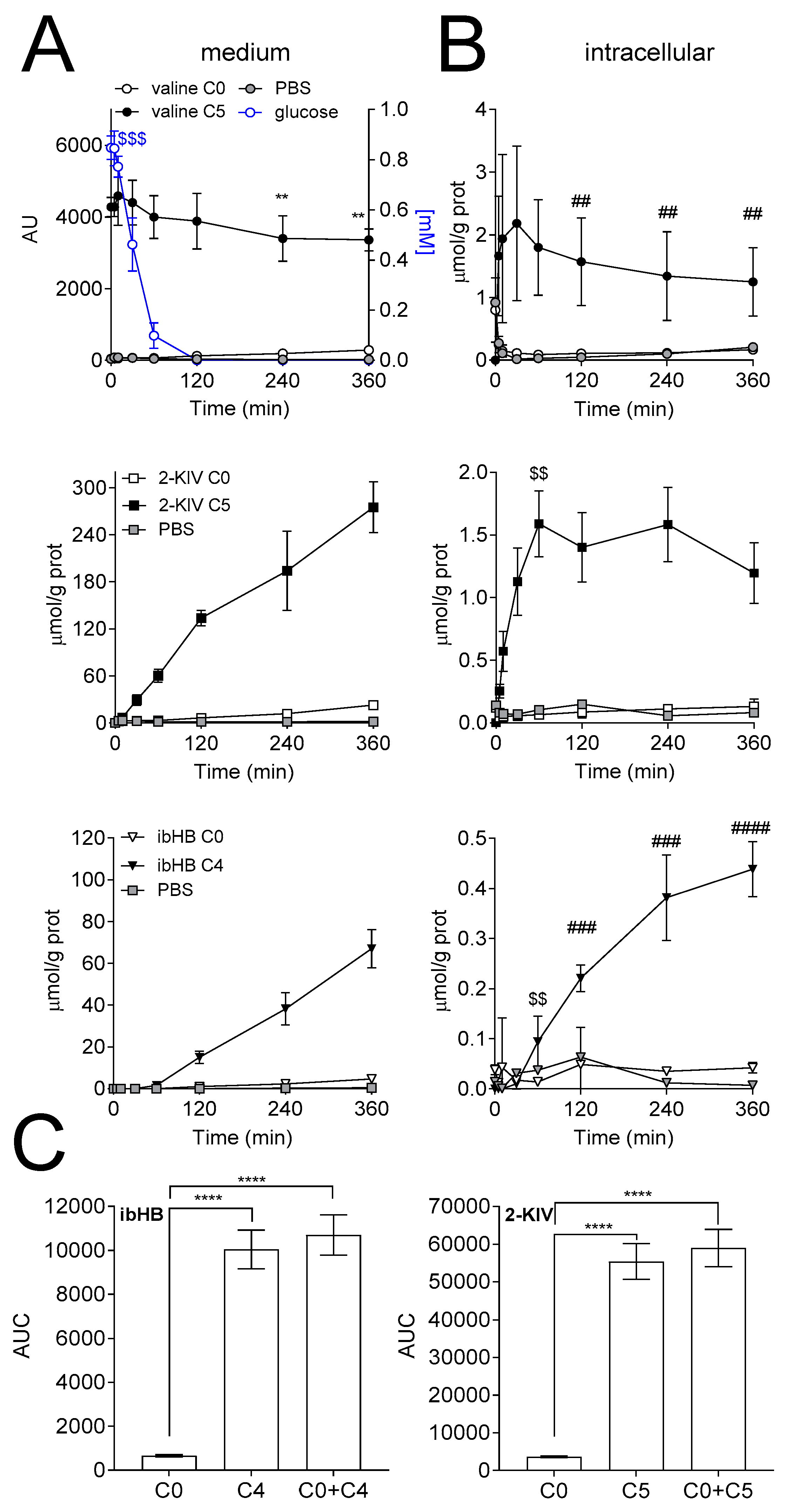 Biomedicines 08 00487 g002