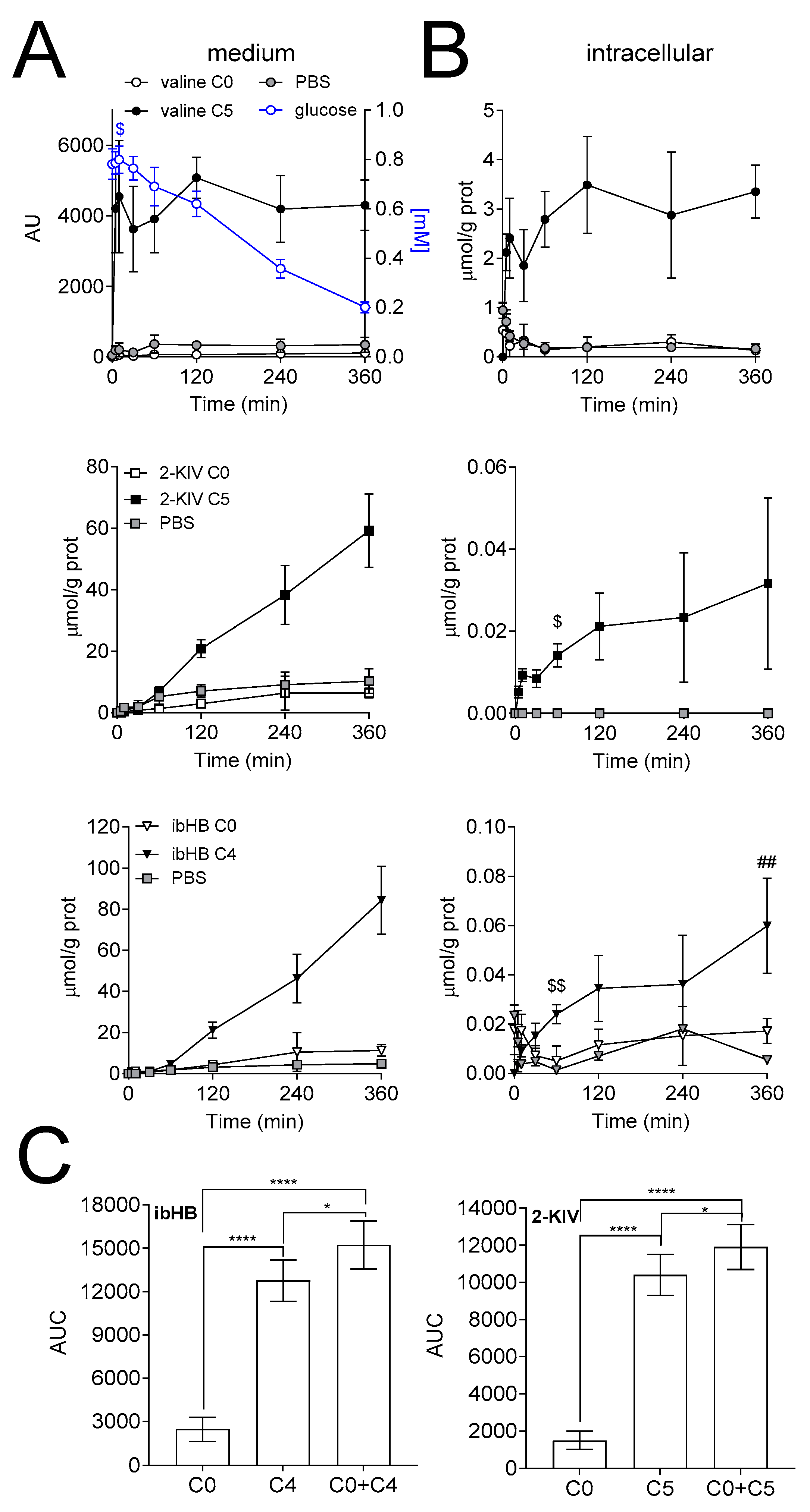 Biomedicines 08 00487 g003