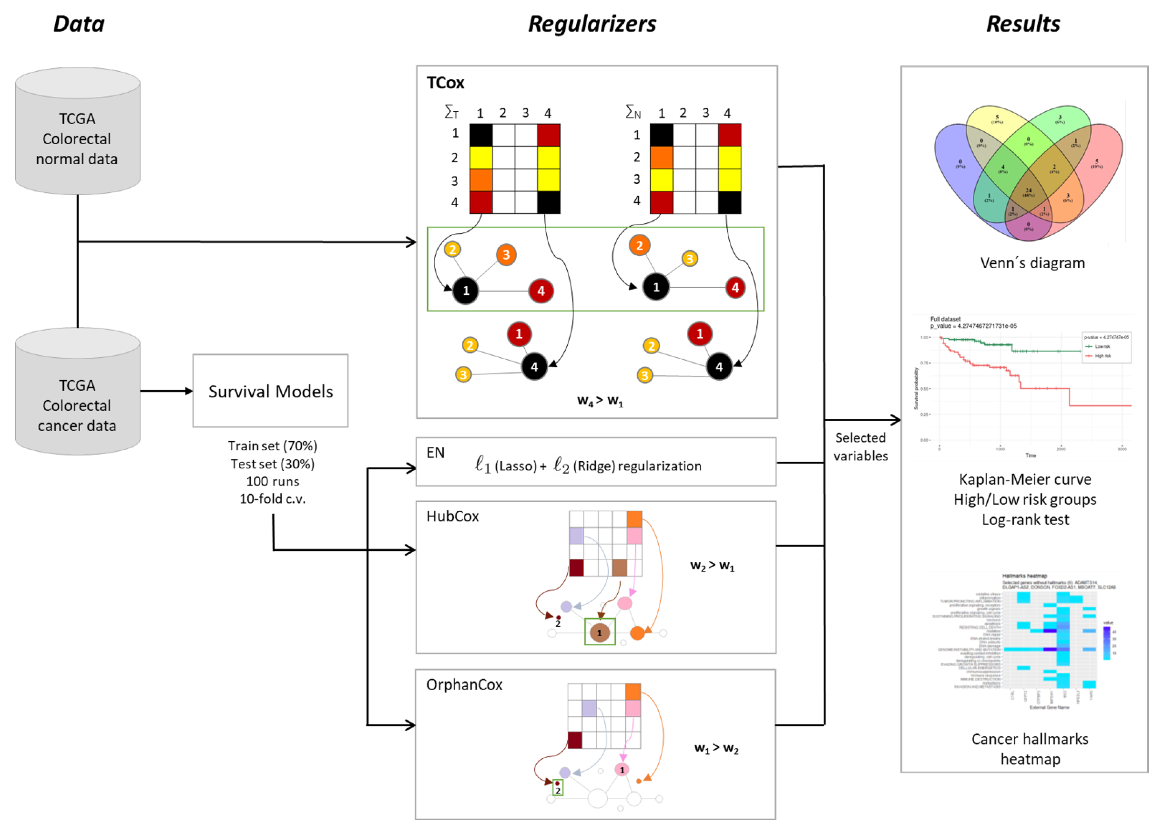 Biomedicines 08 00488 g001