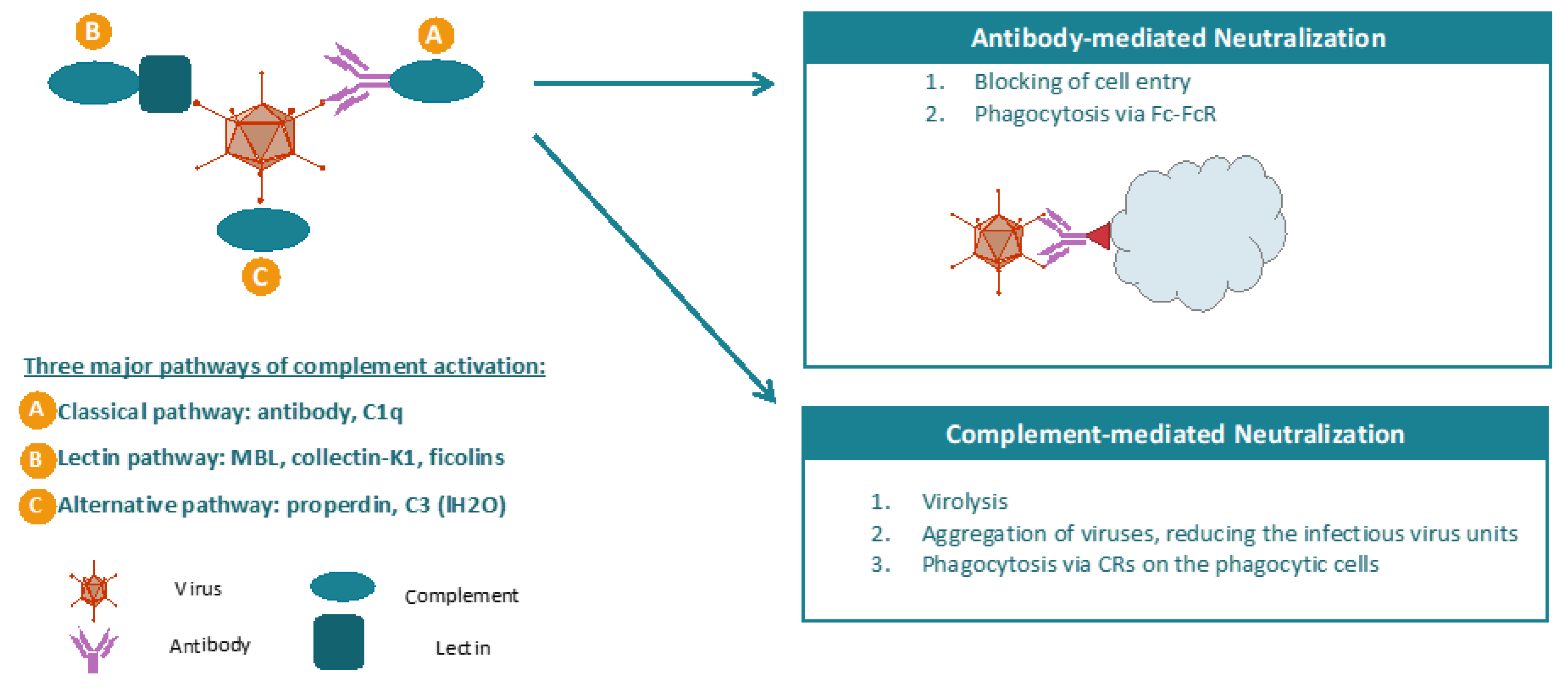 Biomedicines 08 00491 g002 Biomedicines 08 00491 g002