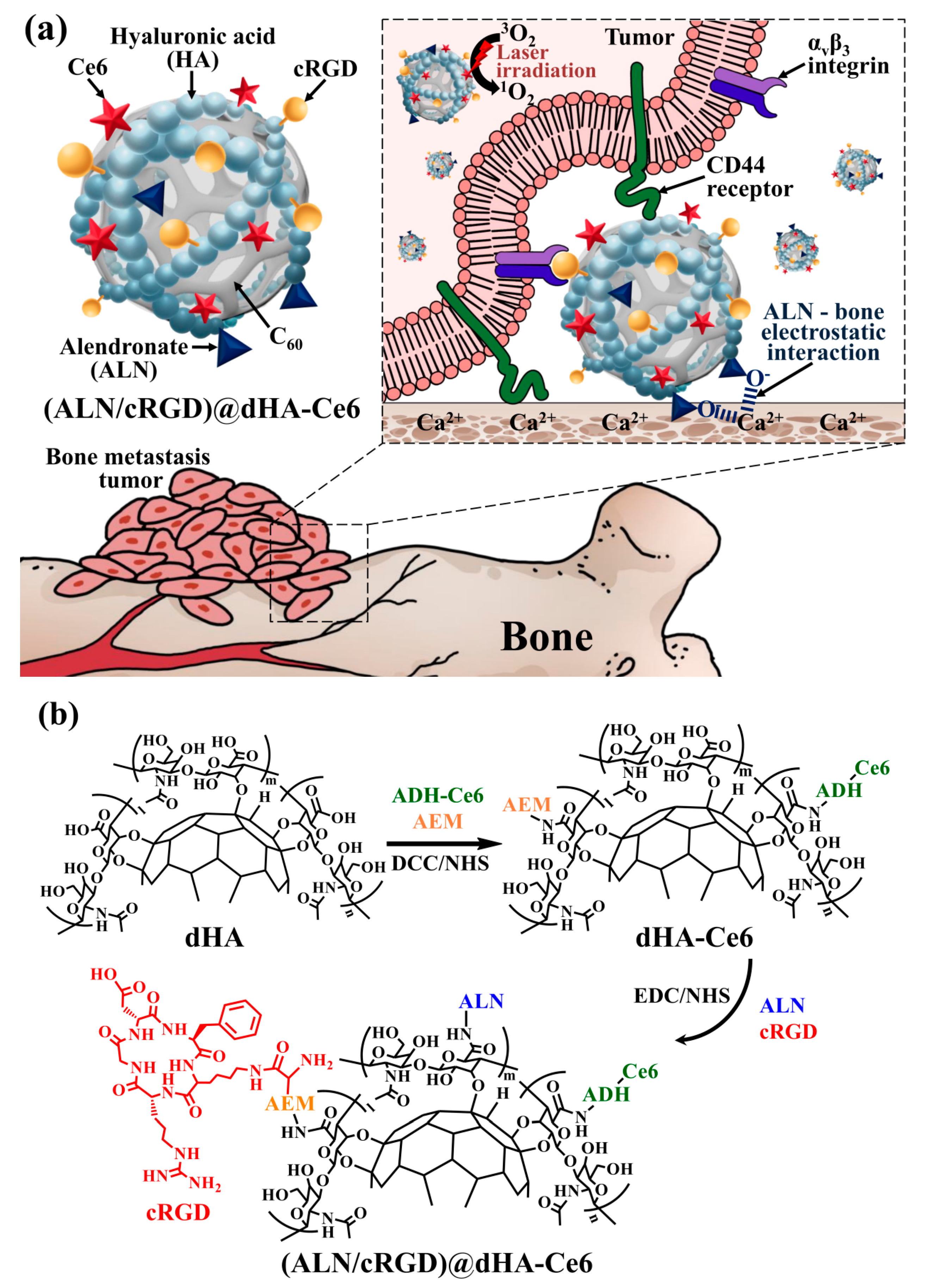 Biomedicines 08 00492 g001