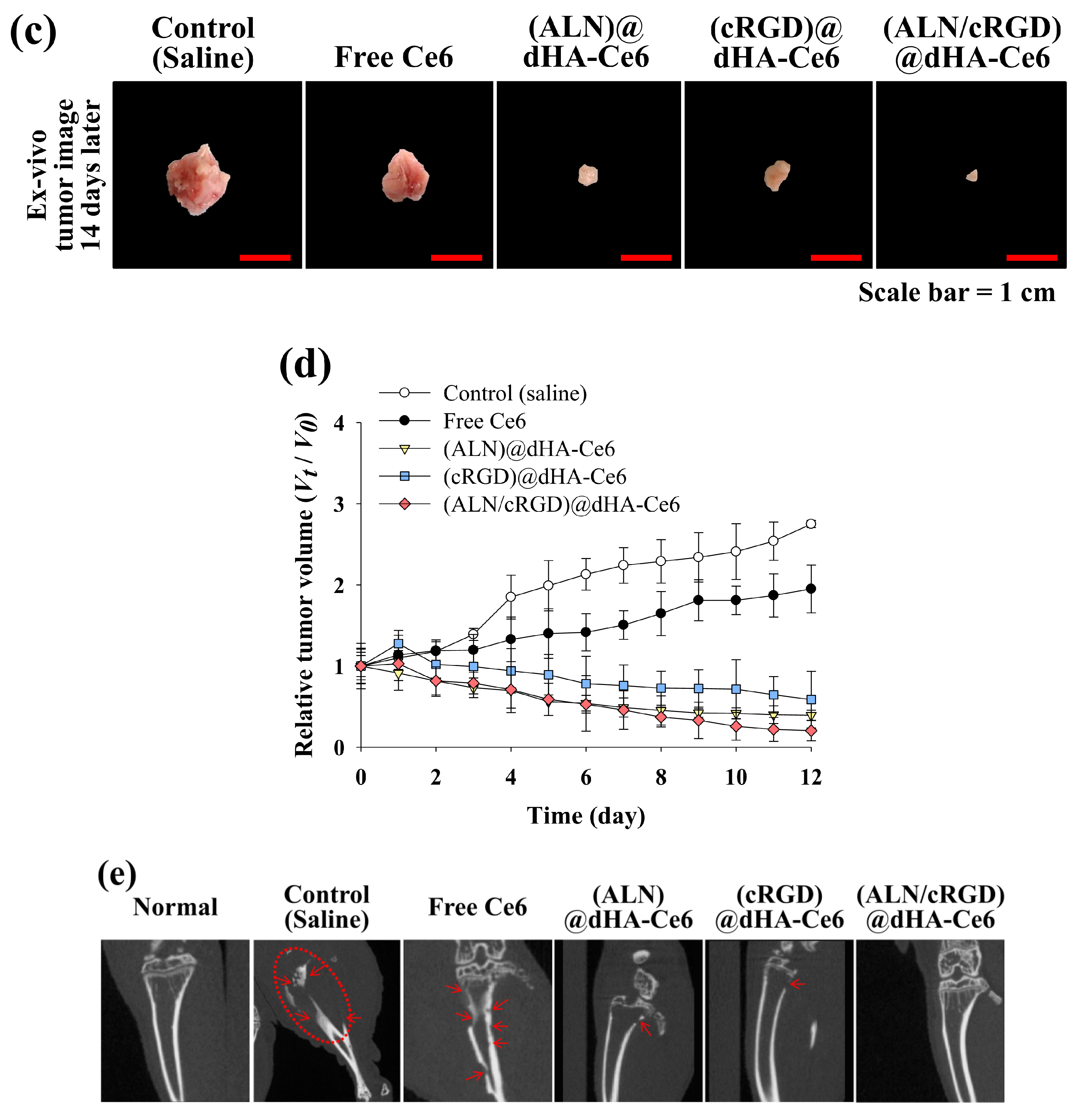 Biomedicines 08 00492 g006b