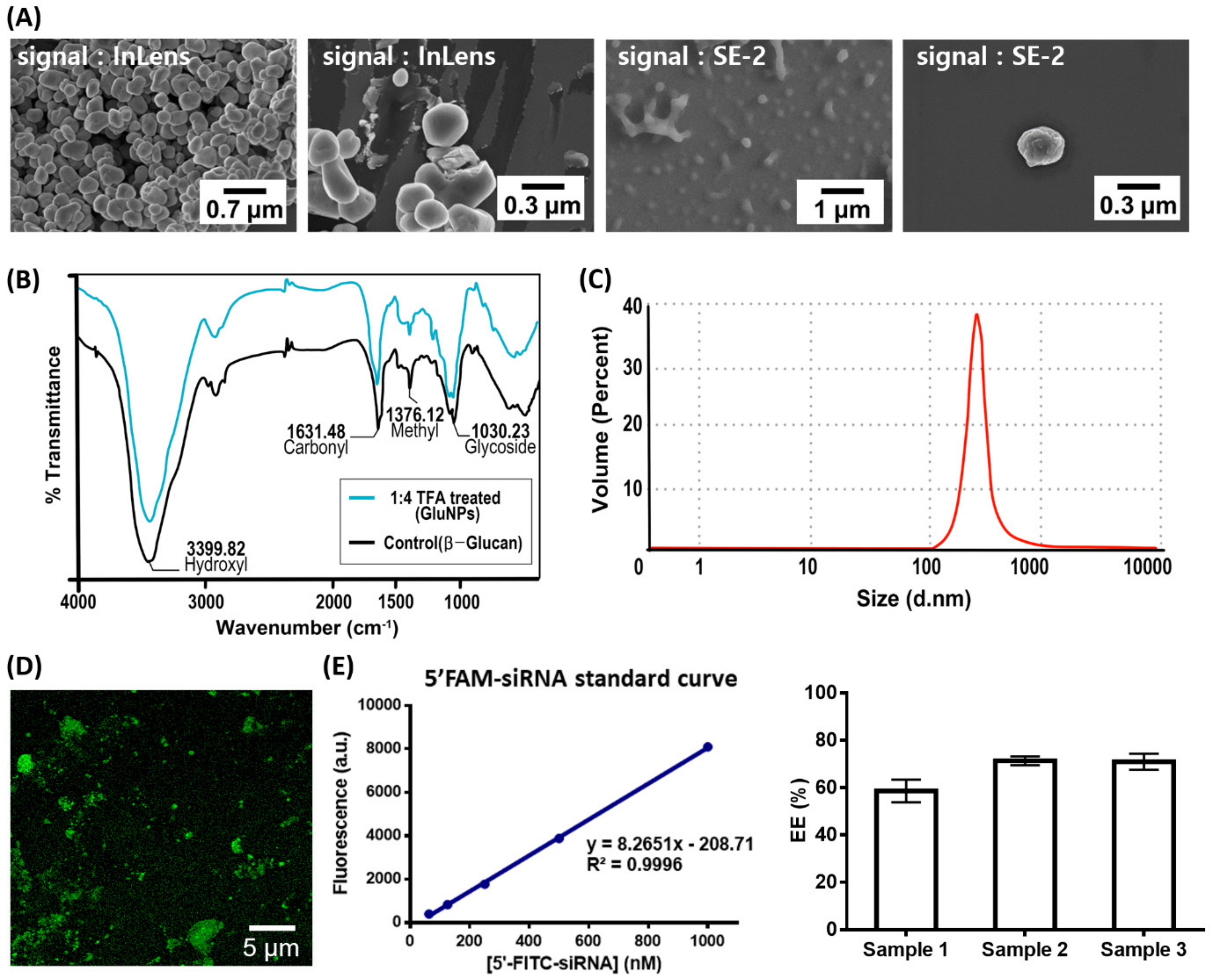 Biomedicines 08 00497 g002