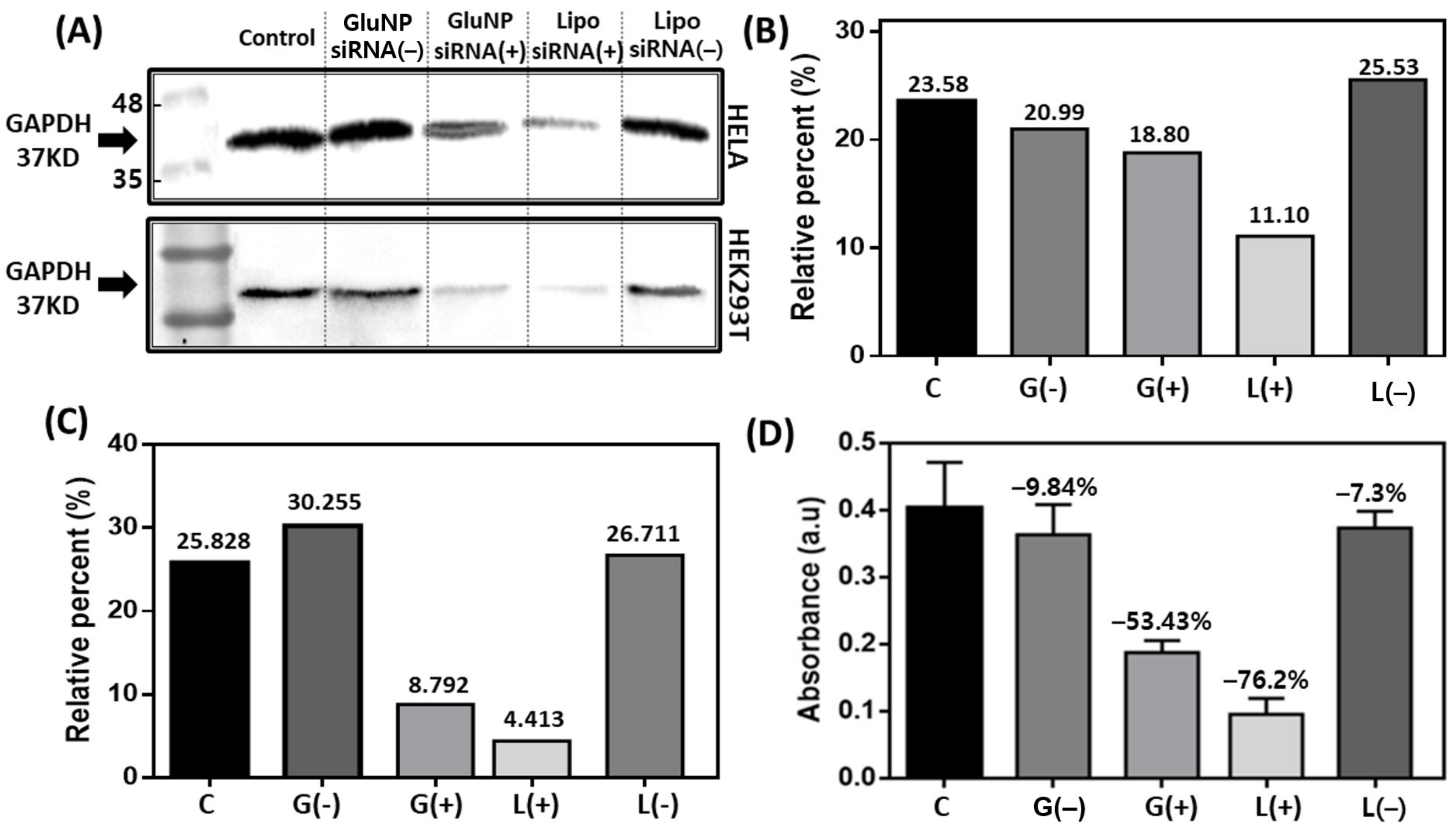 Biomedicines 08 00497 g005