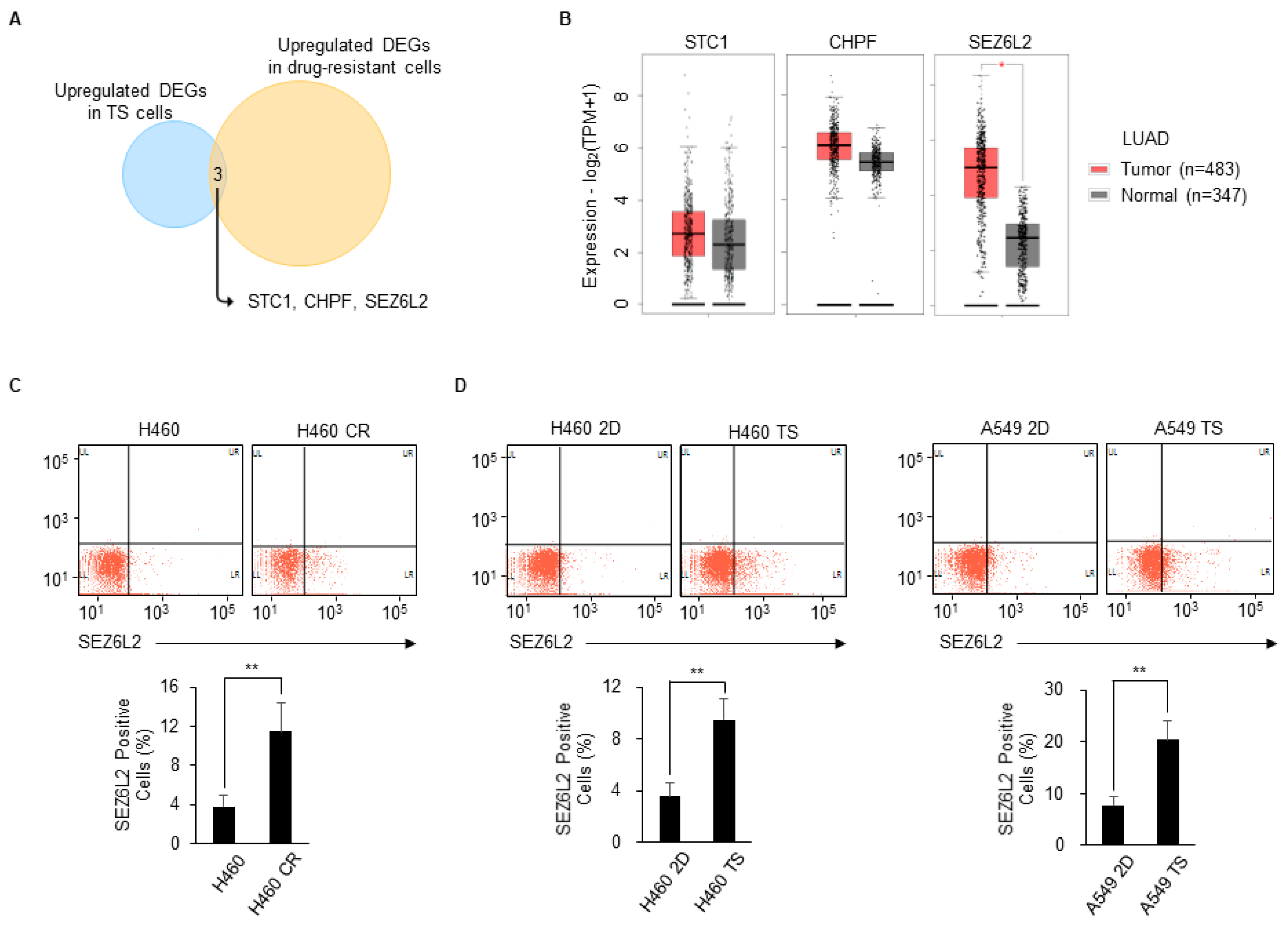 Biomedicines 08 00500 g003 Biomedicines 08 00500 g003