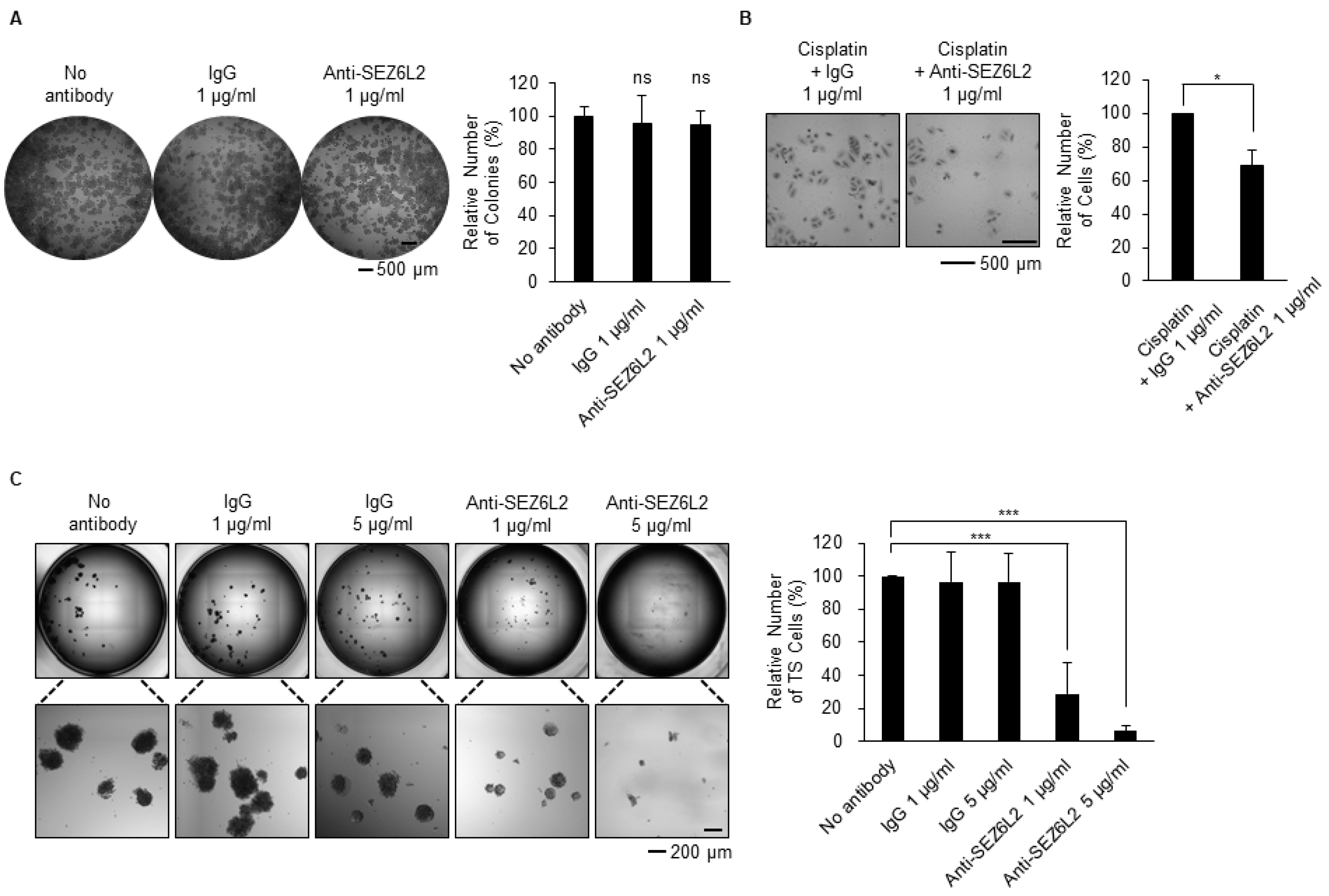 Biomedicines 08 00500 g004 Biomedicines 08 00500 g004