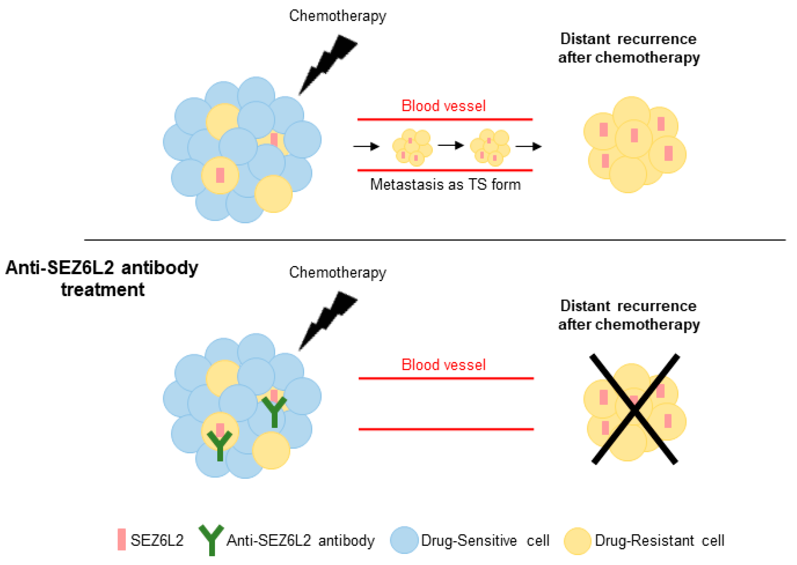 Biomedicines 08 00500 g005 Biomedicines 08 00500 g005