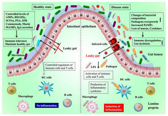 MicroRNA-128-3p regulates mitomycin C-induced DNA damage