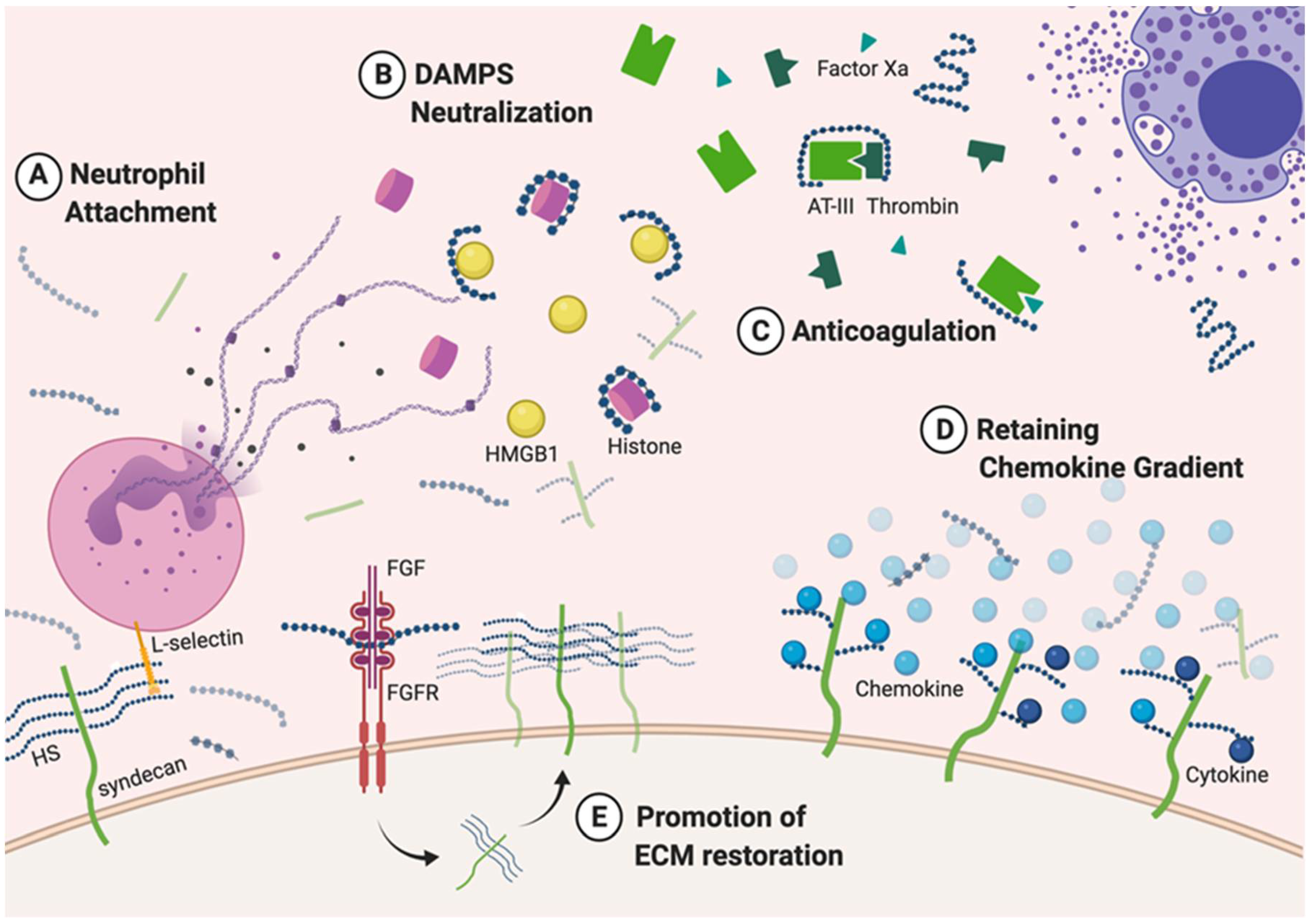 Biomedicines 08 00503 g002 Biomedicines 08 00503 g002