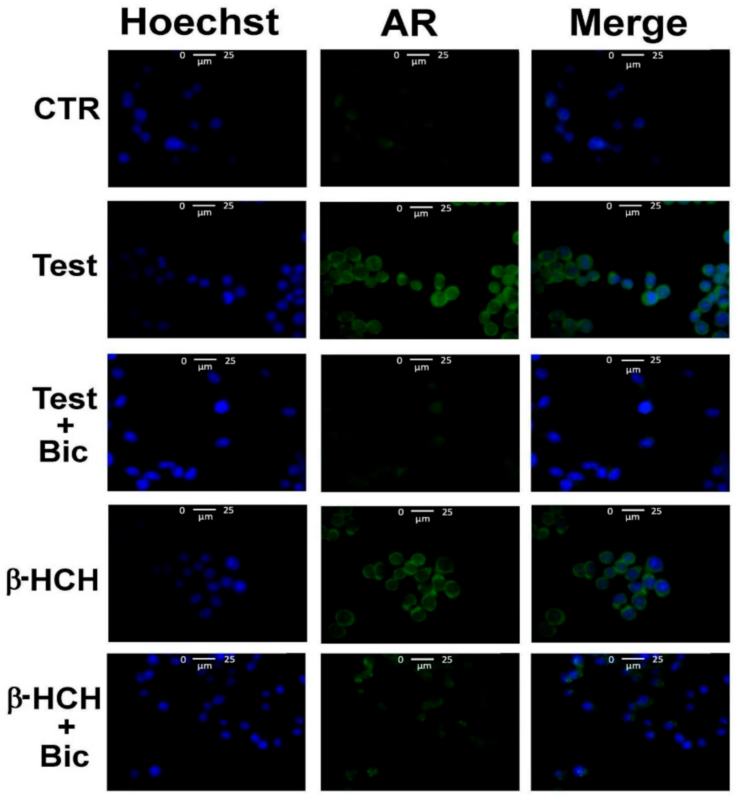 Biomedicines 08 00505 g002 Biomedicines 08 00505 g002