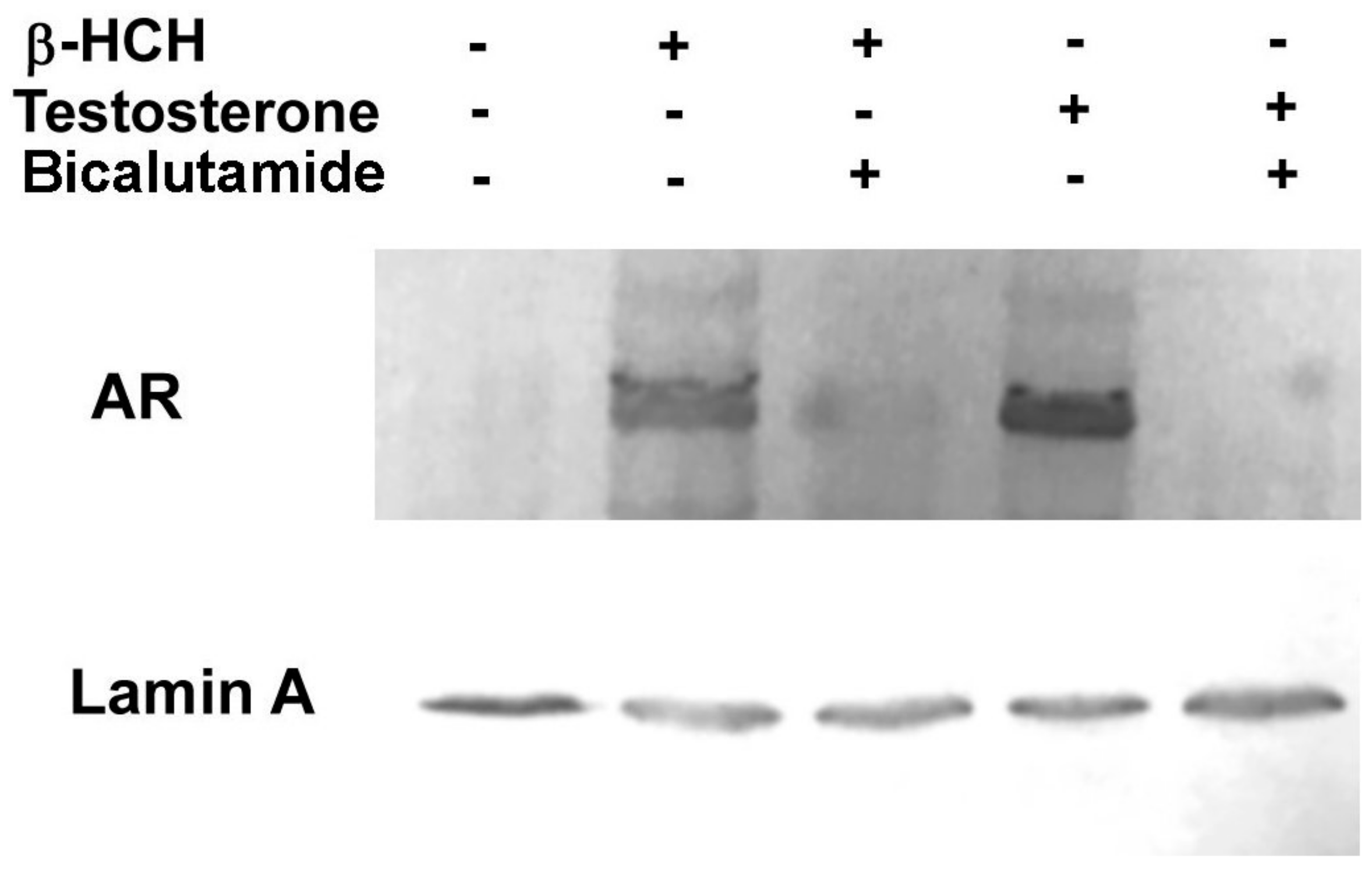 Biomedicines 08 00505 g003 Biomedicines 08 00505 g003