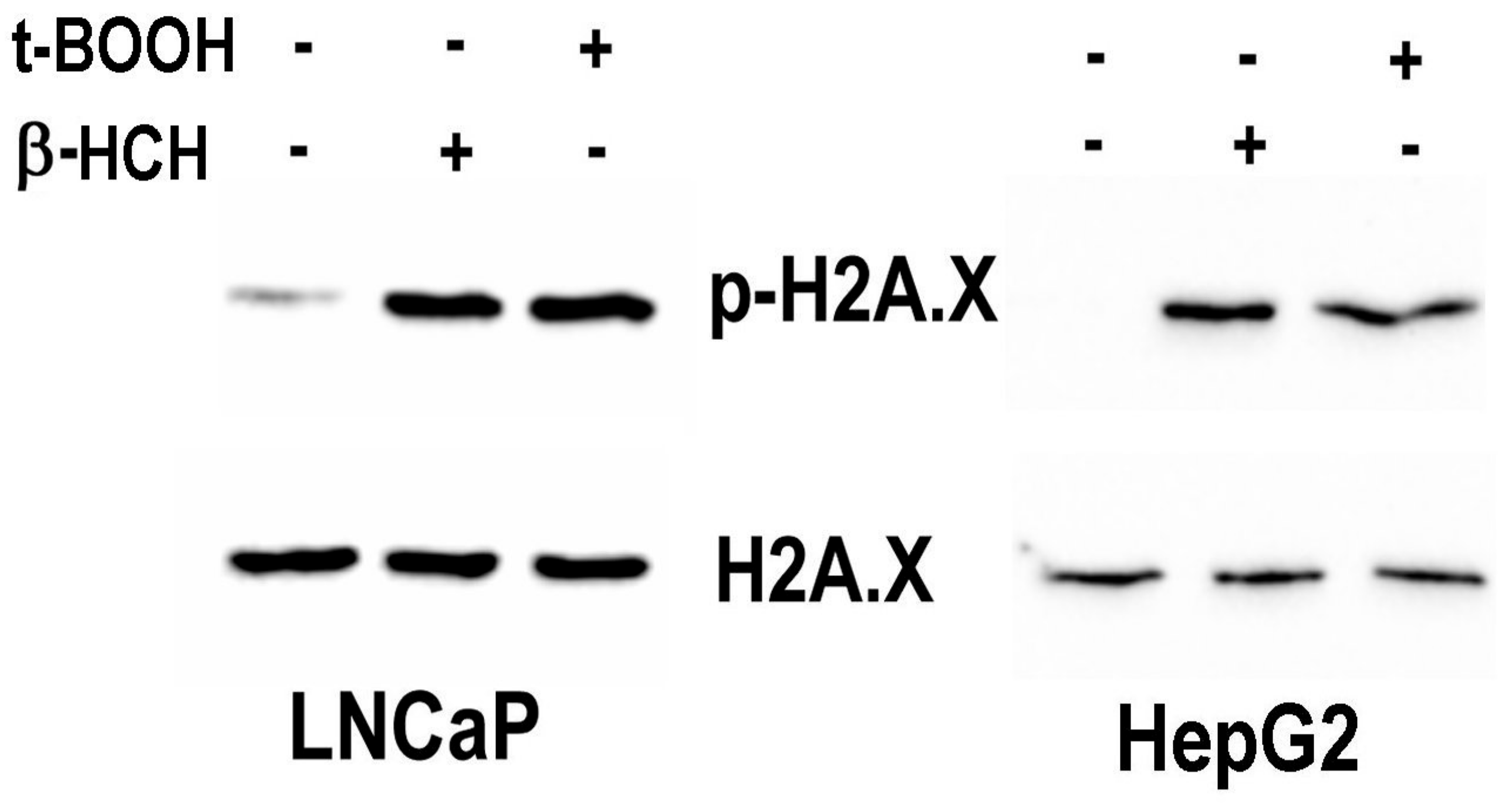 Biomedicines 08 00505 g010 Biomedicines 08 00505 g010