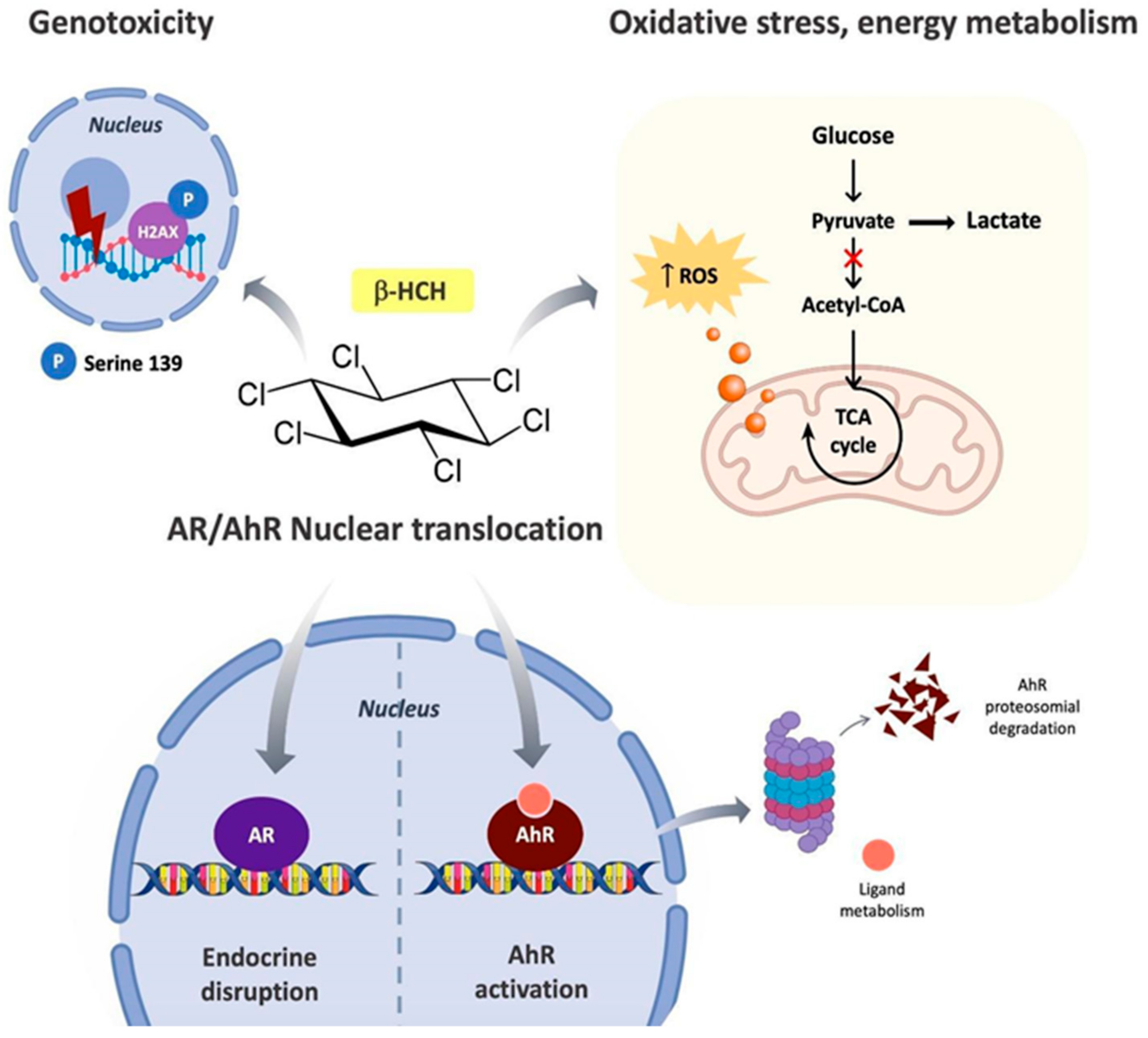 Biomedicines 08 00505 g011 Biomedicines 08 00505 g011