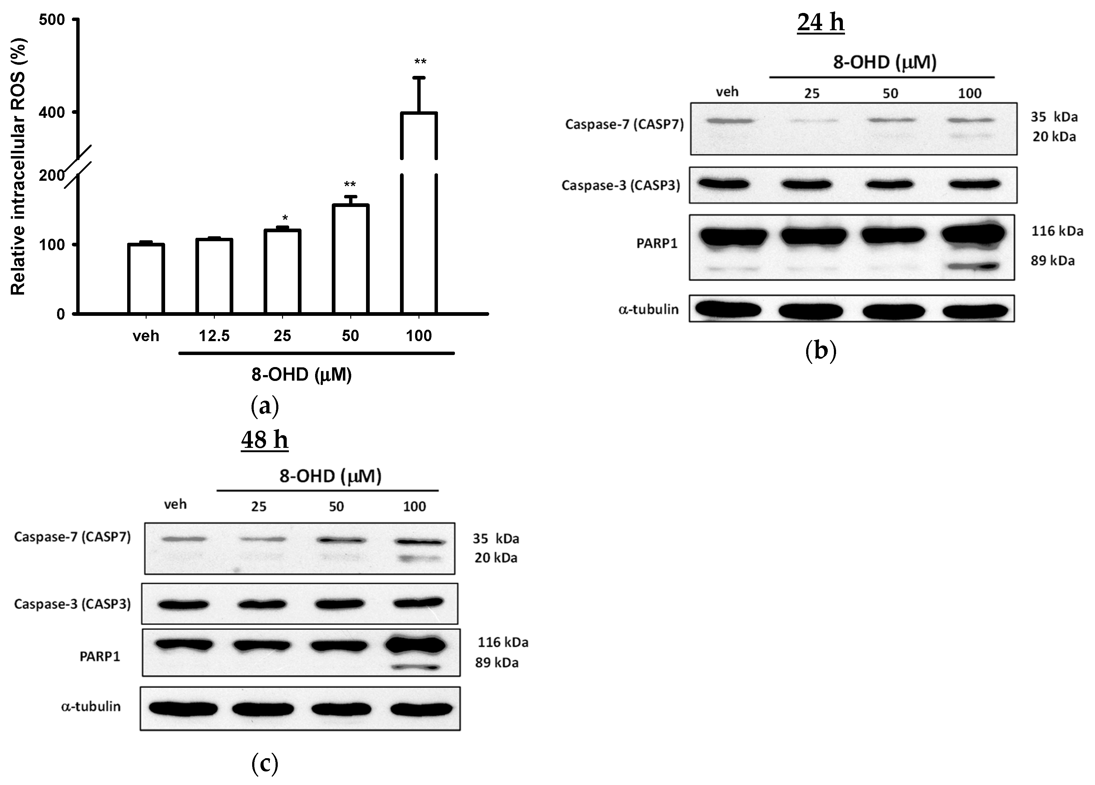 Biomedicines 08 00506 g003 Biomedicines 08 00506 g003