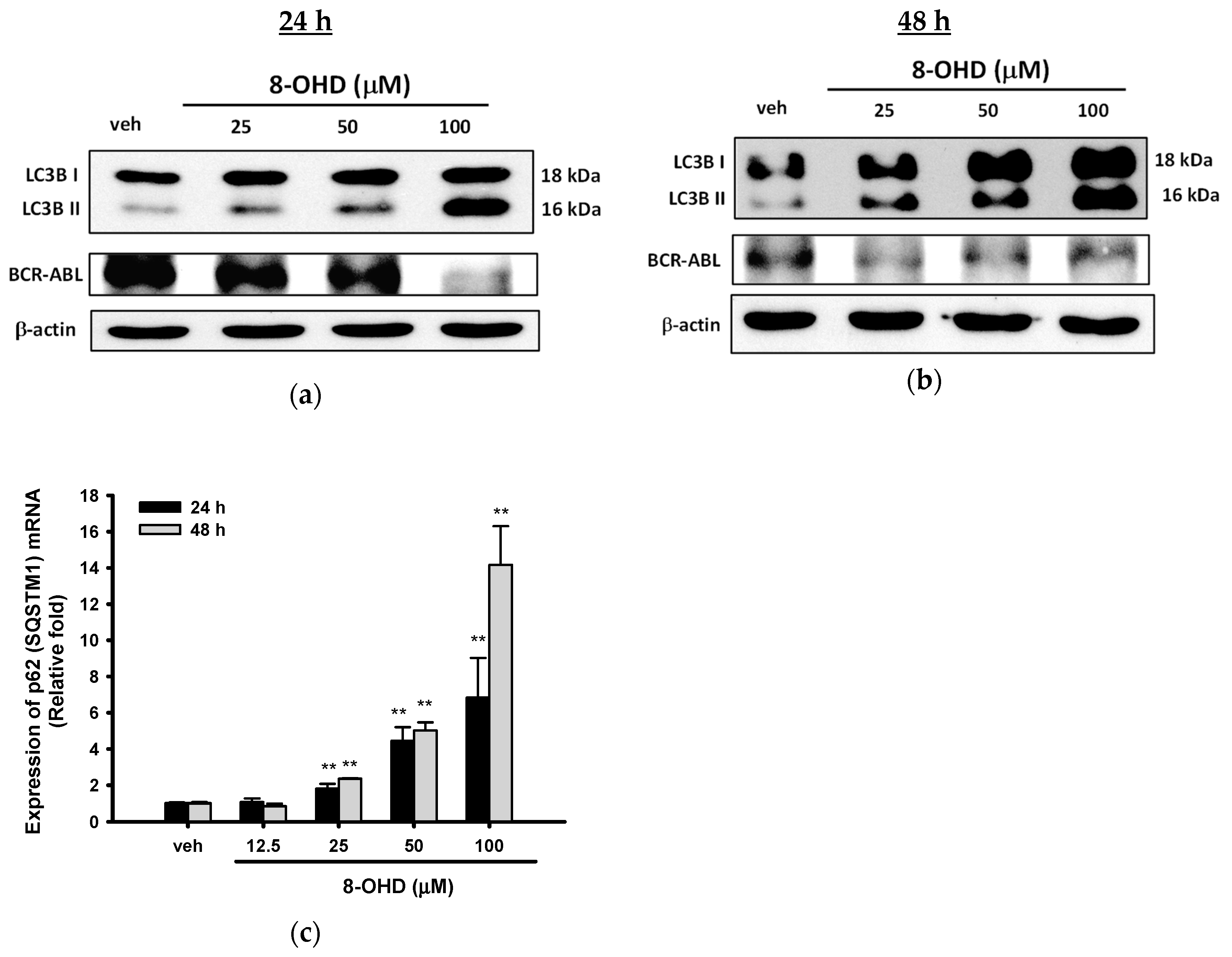 Biomedicines 08 00506 g004 Biomedicines 08 00506 g004