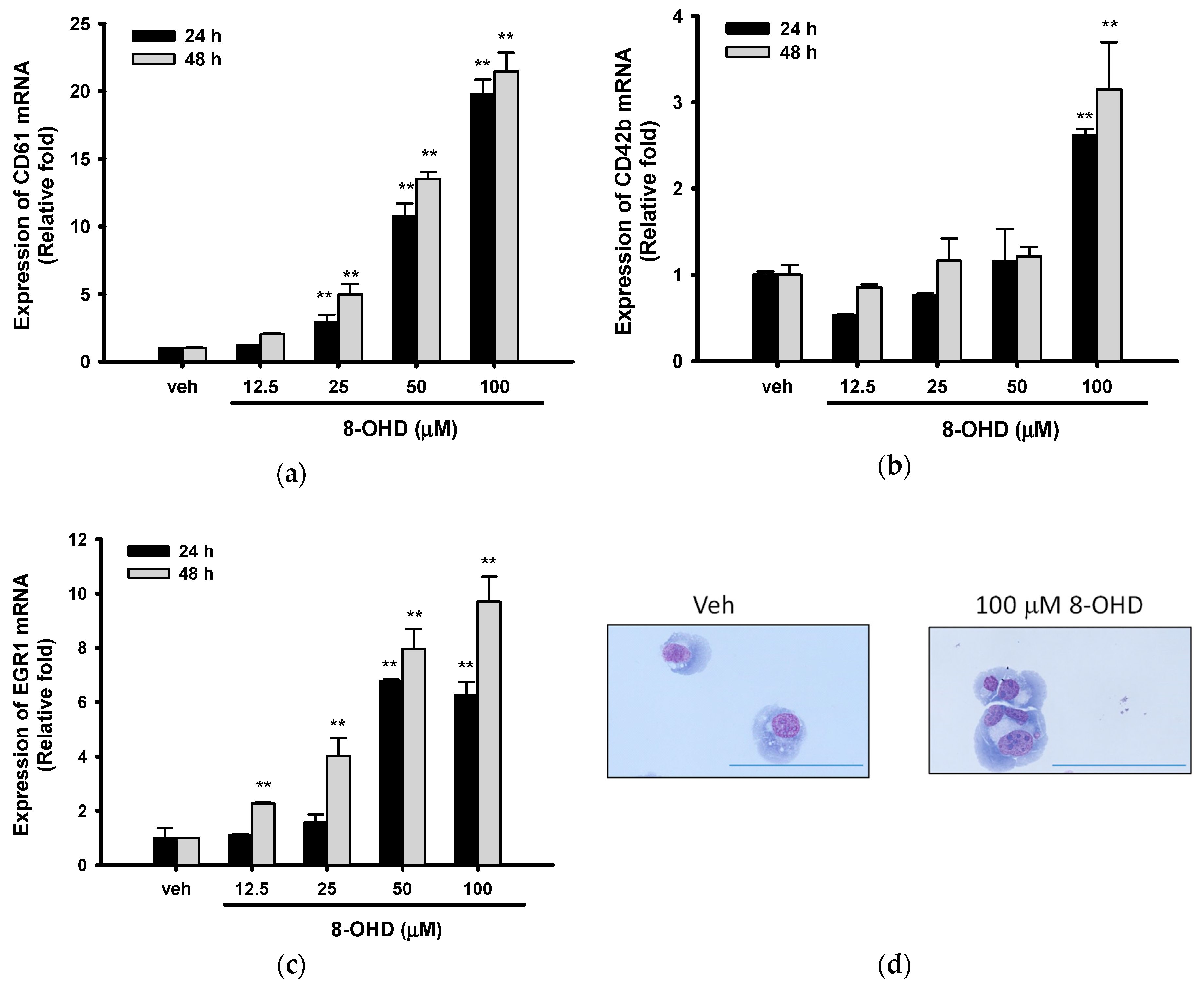 Biomedicines 08 00506 g005 Biomedicines 08 00506 g005