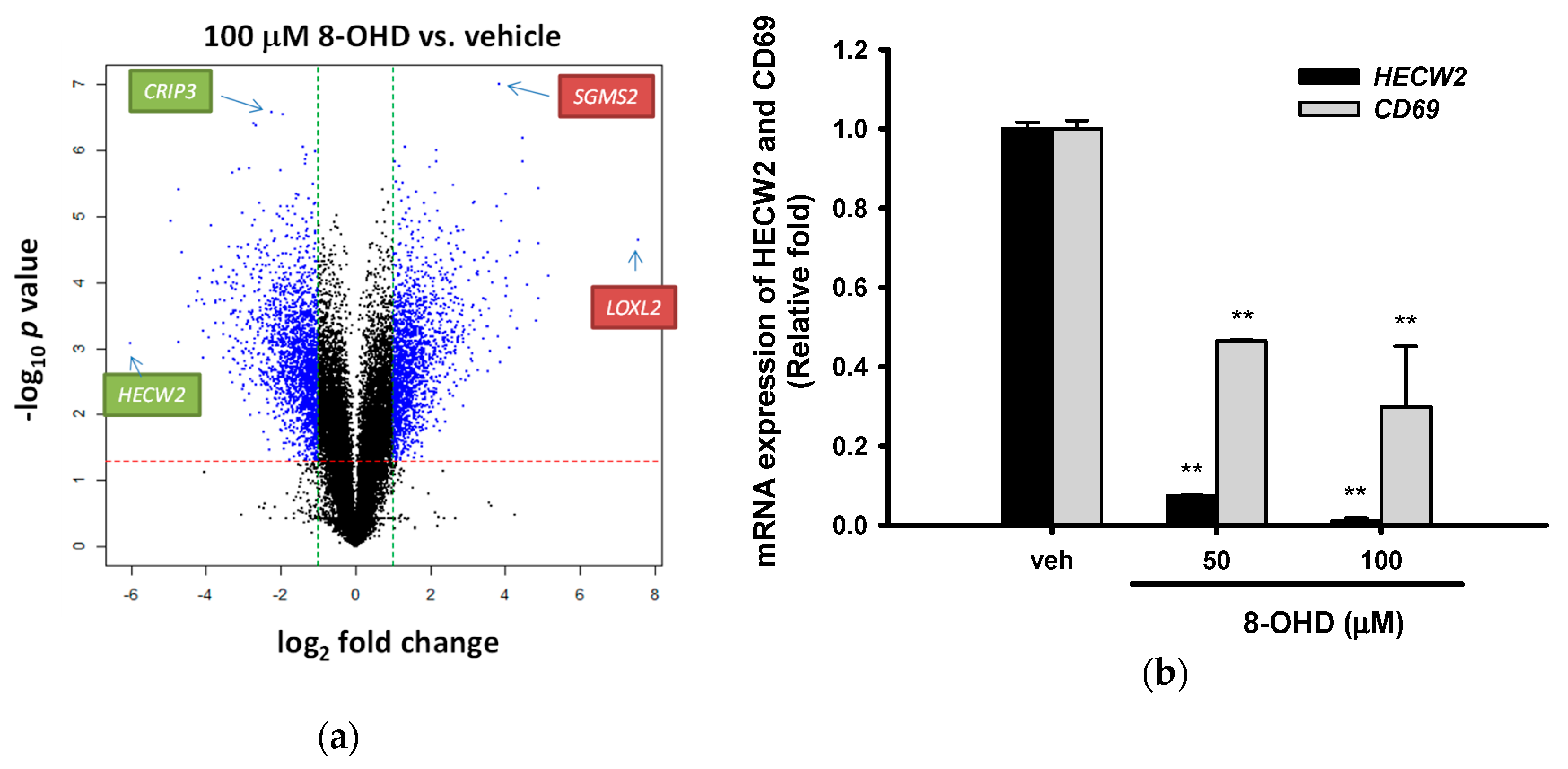 Biomedicines 08 00506 g006 Biomedicines 08 00506 g006