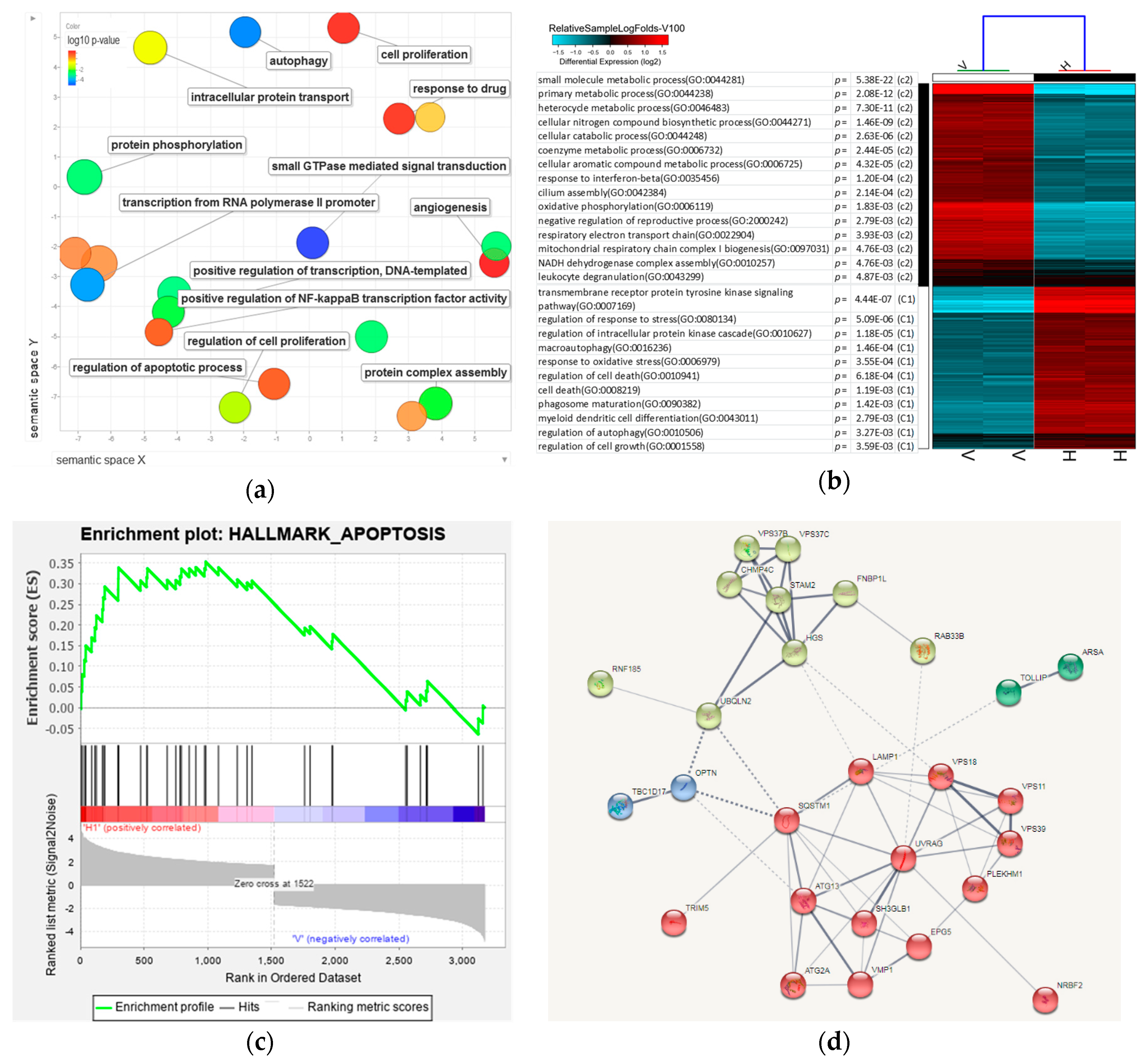 Biomedicines 08 00506 g007 Biomedicines 08 00506 g007