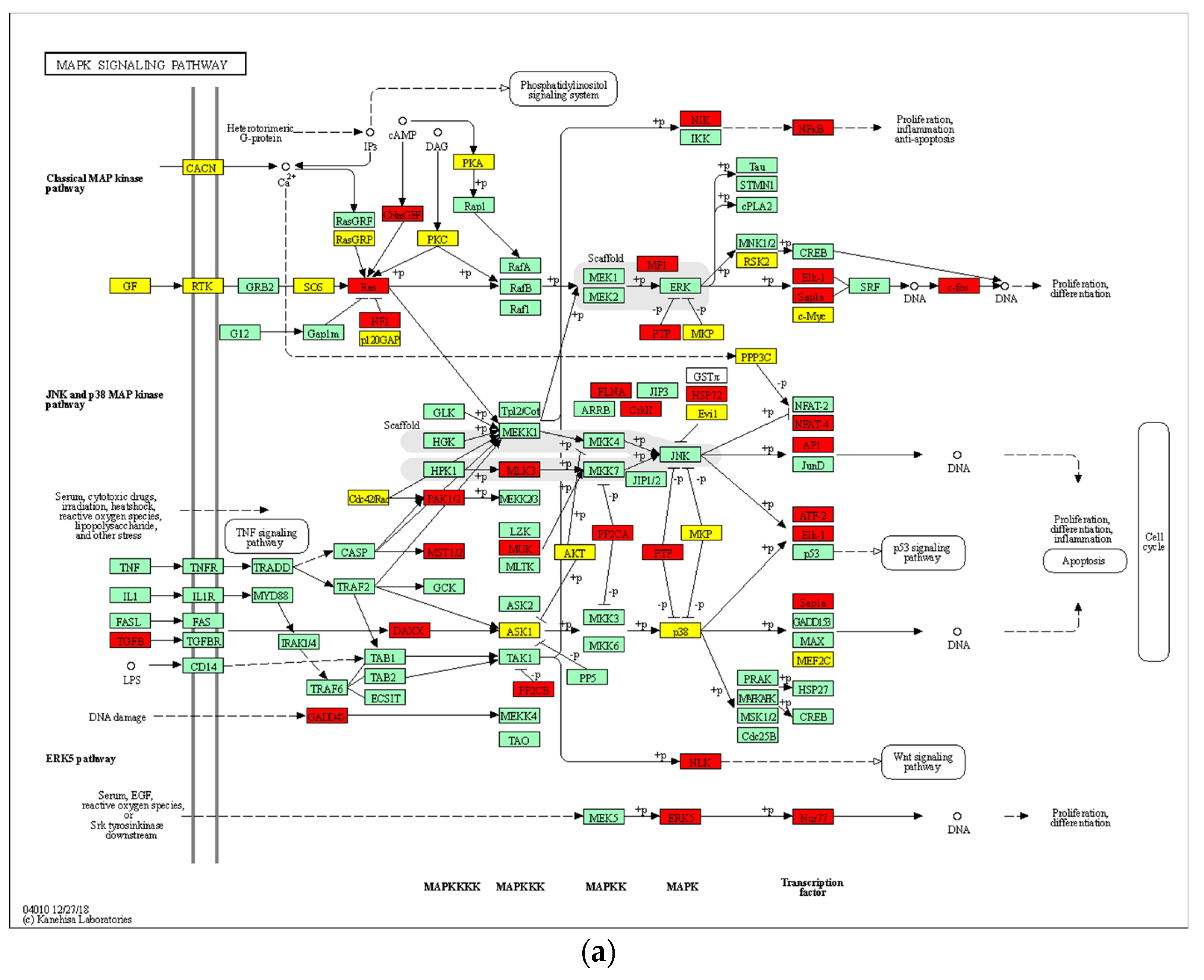Biomedicines 08 00506 g008a Biomedicines 08 00506 g008a