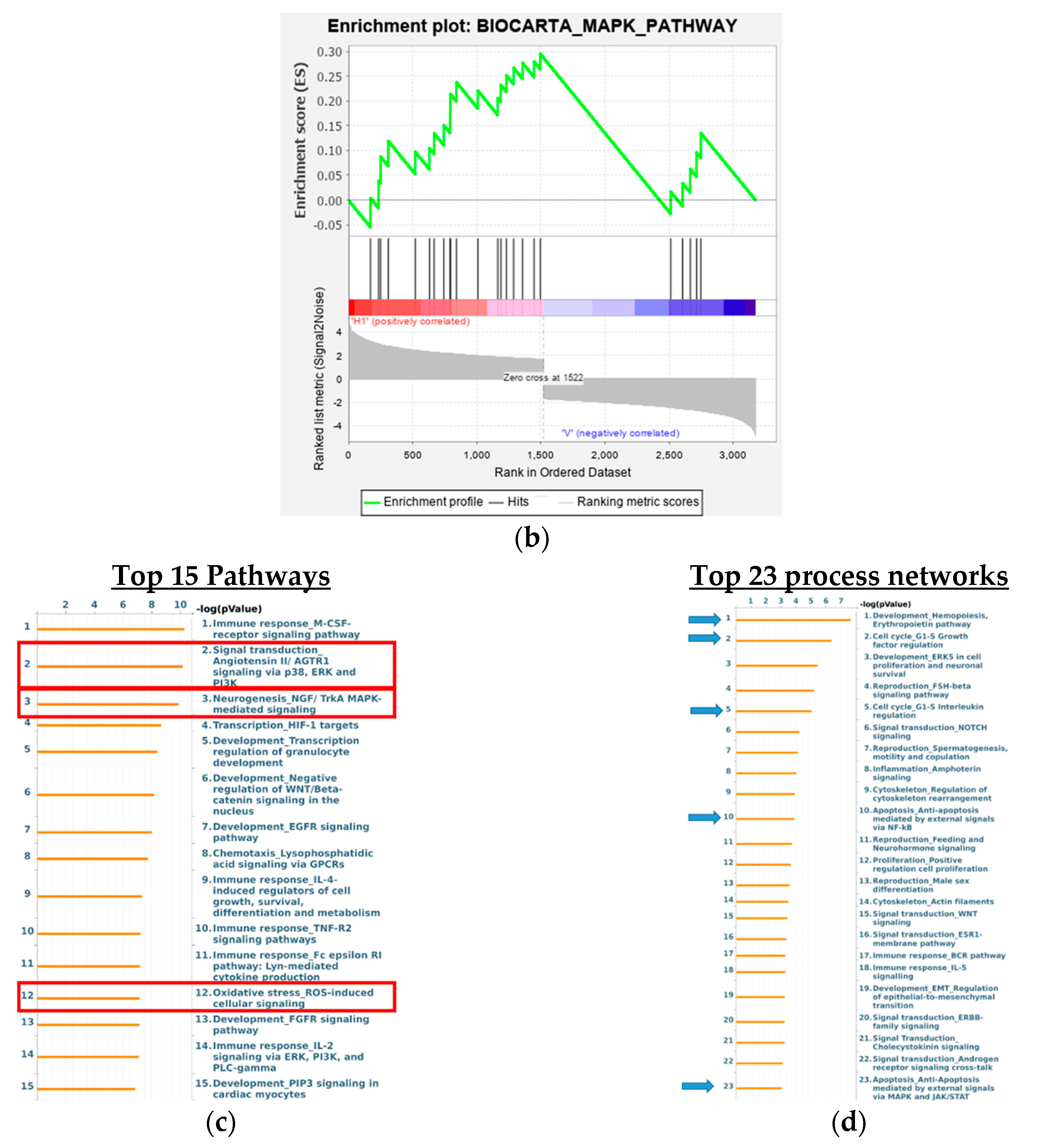 Biomedicines 08 00506 g008b Biomedicines 08 00506 g008b