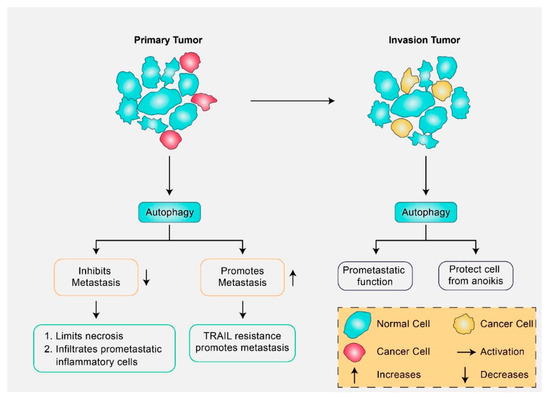 Molecular Insights into the Multifunctional Role of Natural