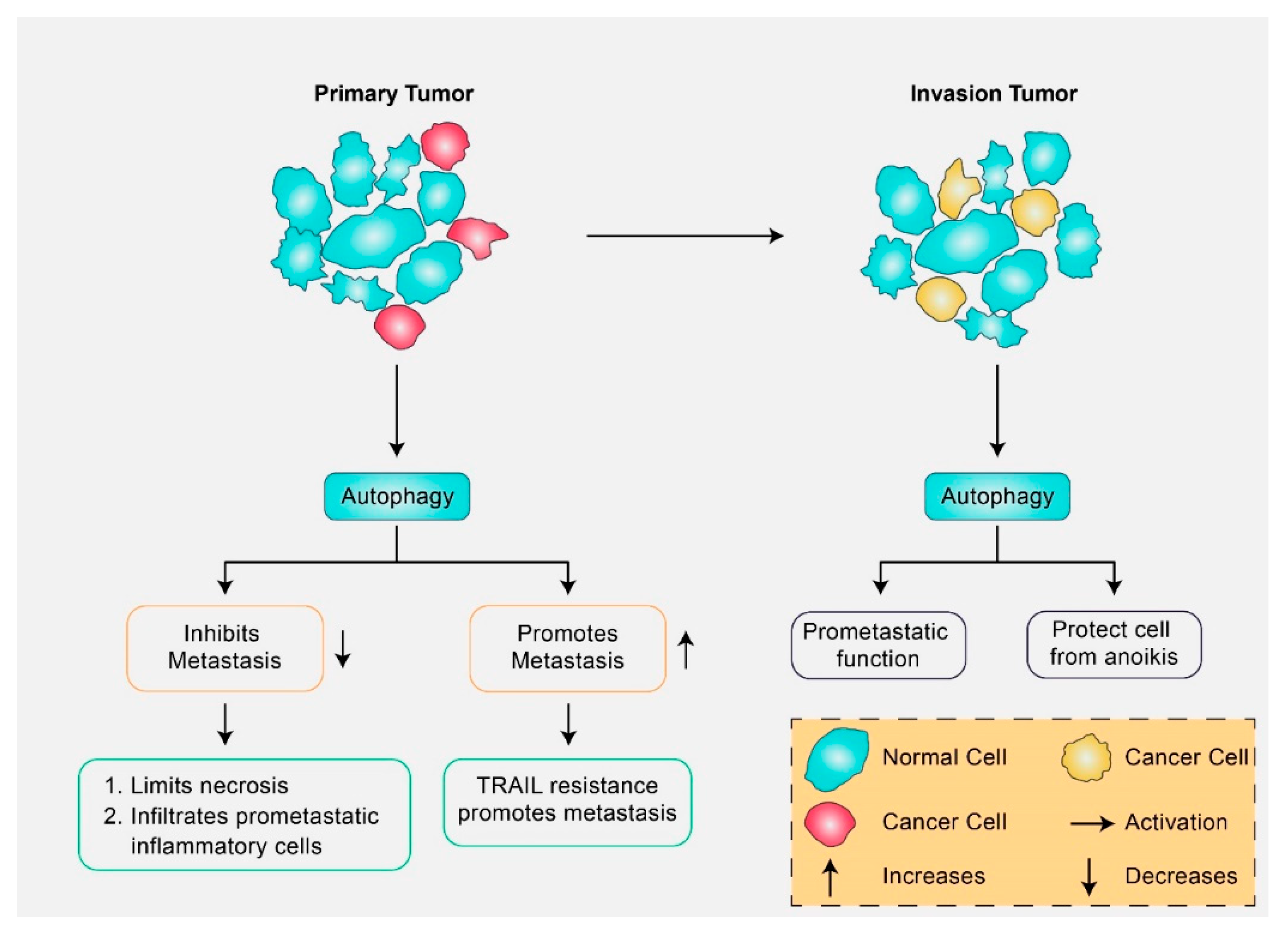 Molecular Insights into the Multifunctional Role of Natural