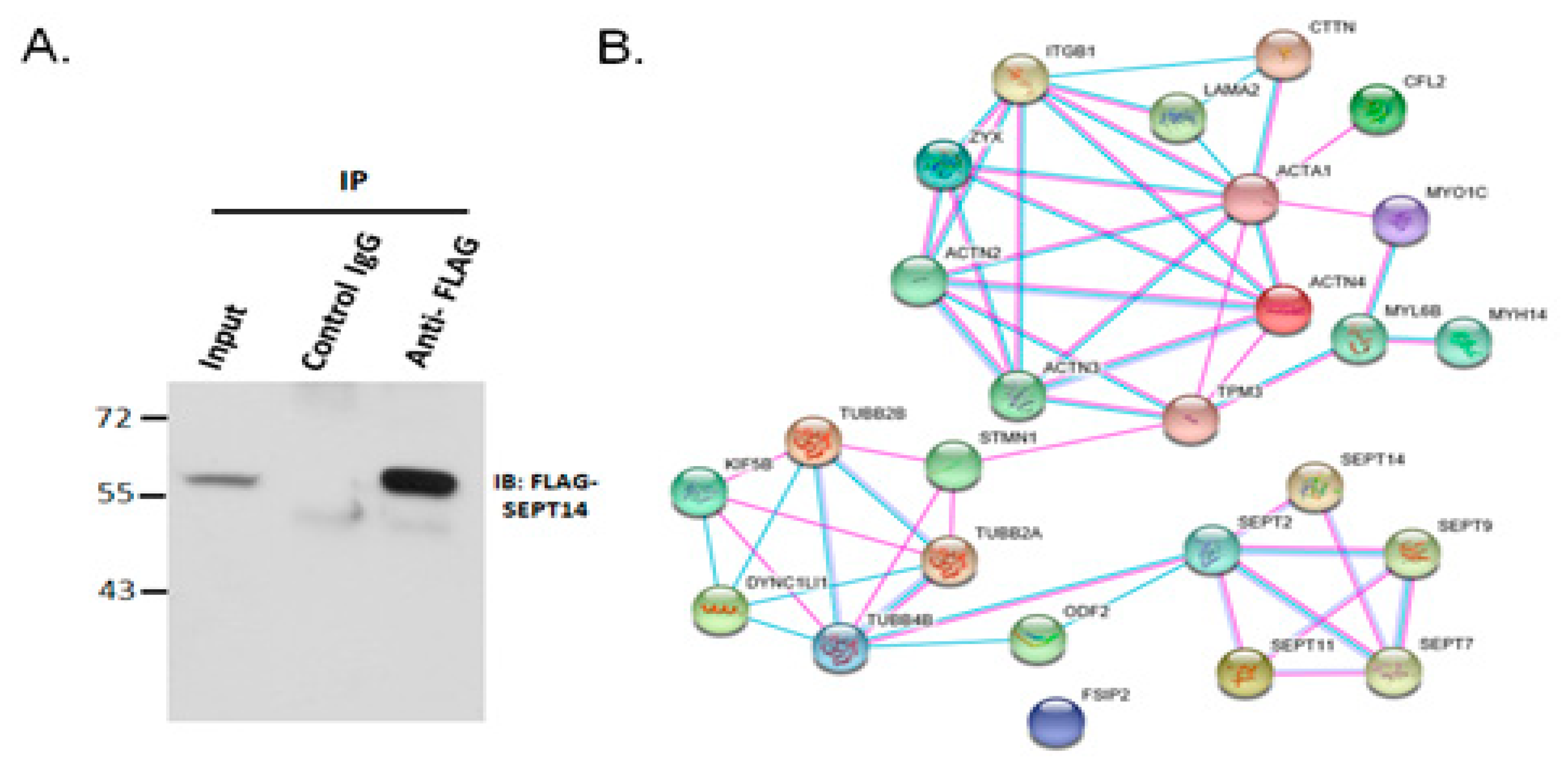 Biomedicines 08 00518 g002 Biomedicines 08 00518 g002