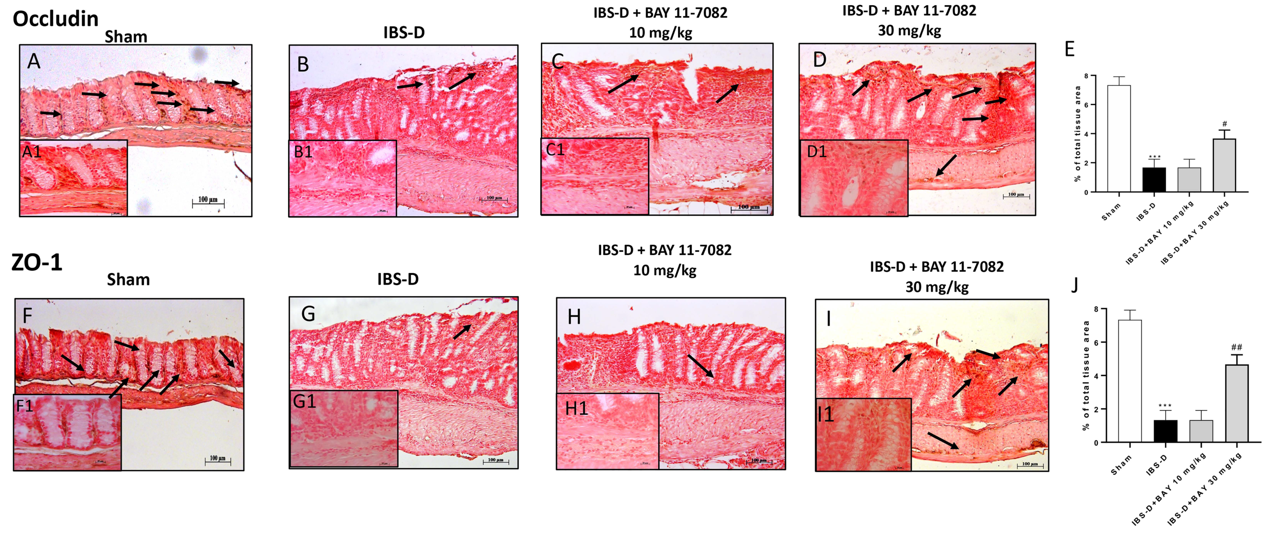 Biomedicines 08 00519 g002