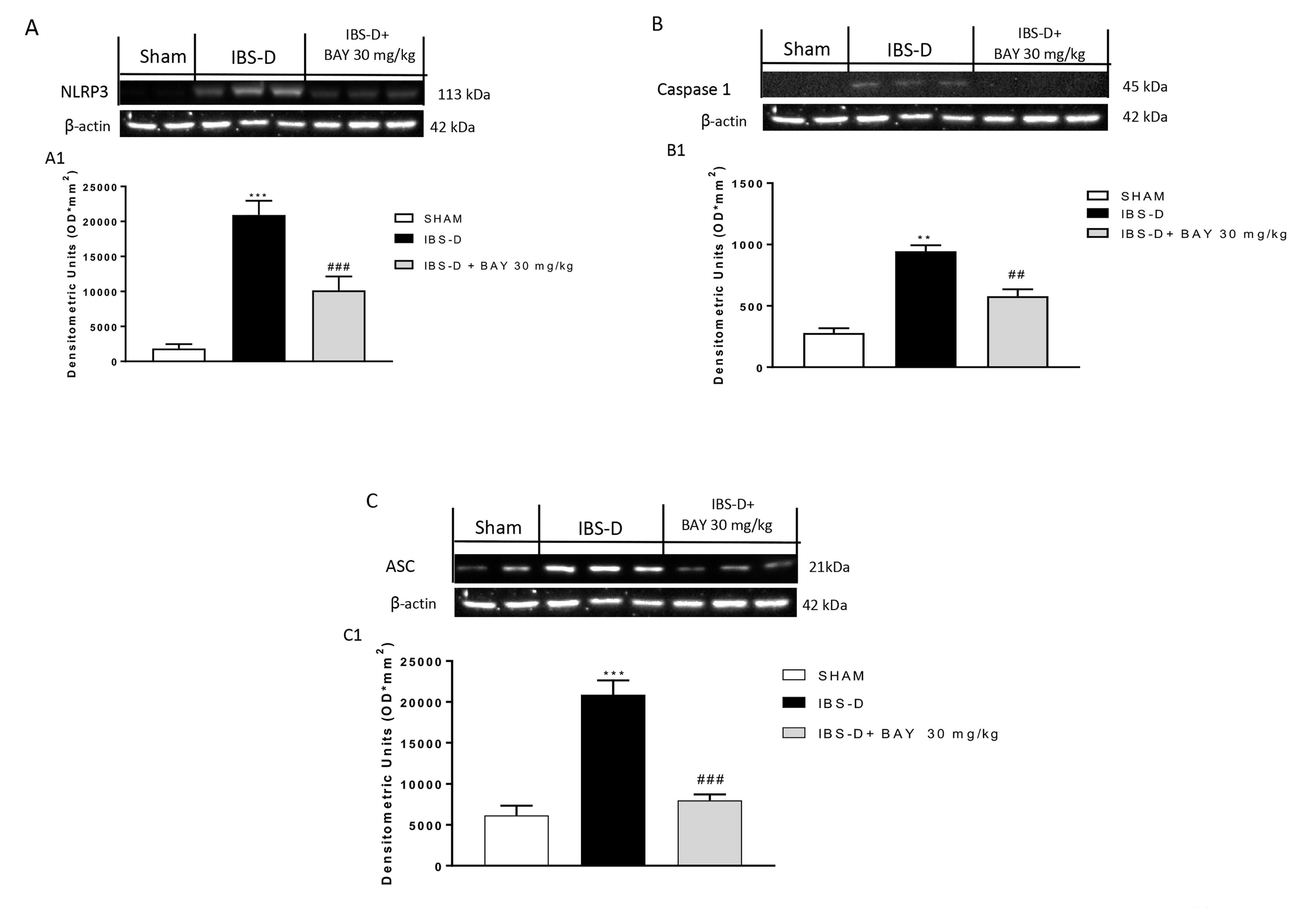 Biomedicines 08 00519 g004