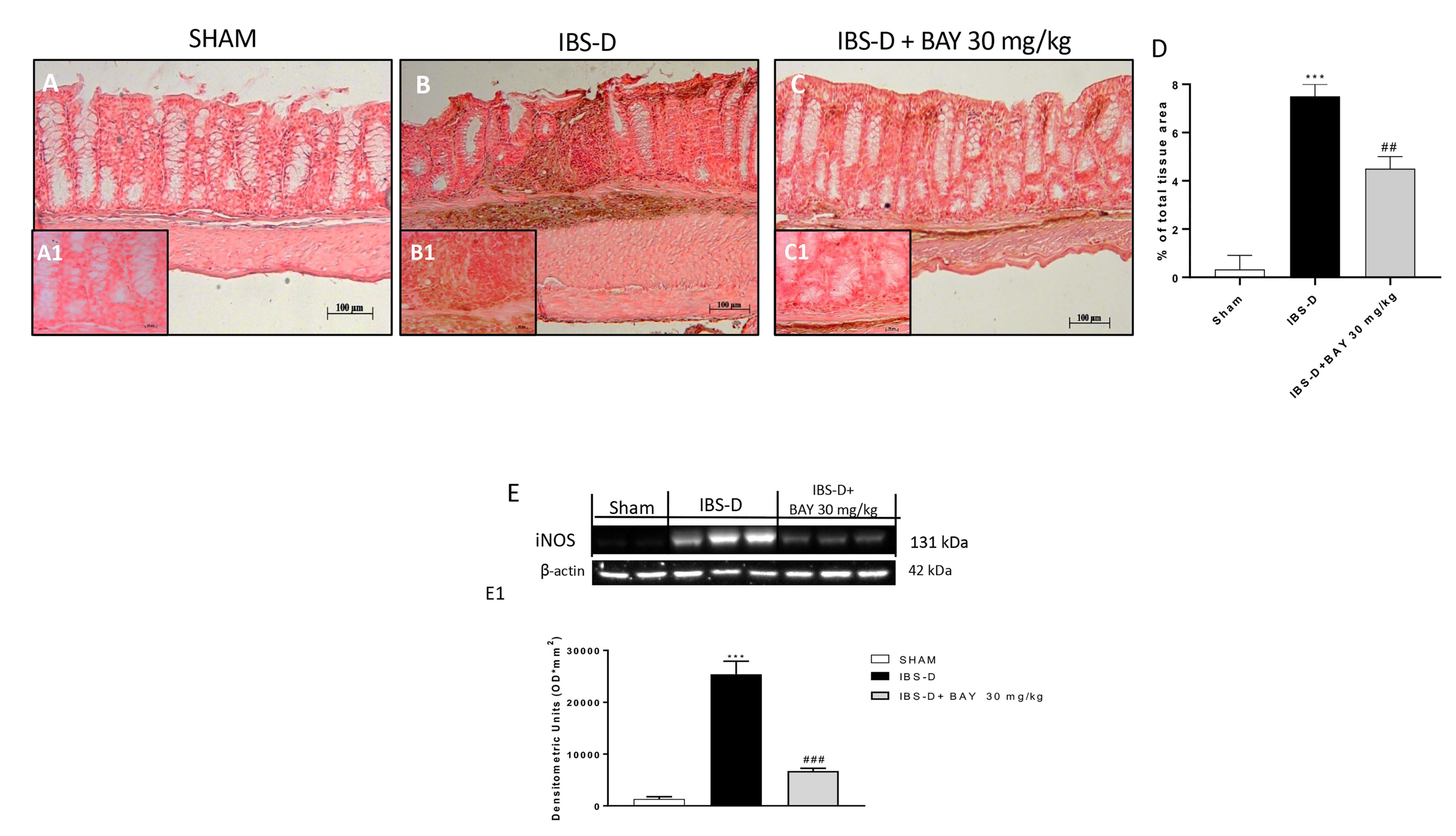Biomedicines 08 00519 g007