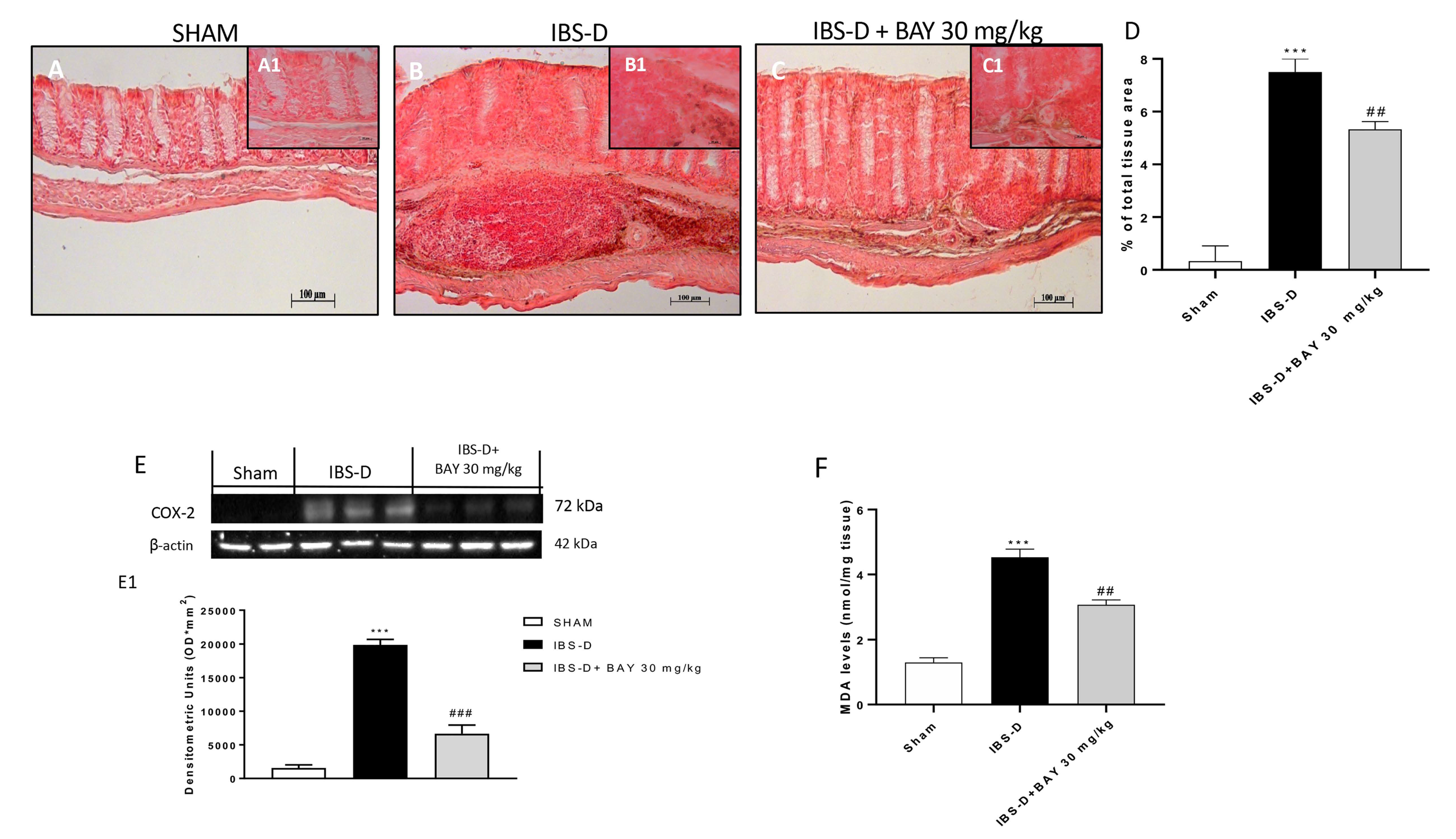 Biomedicines 08 00519 g008