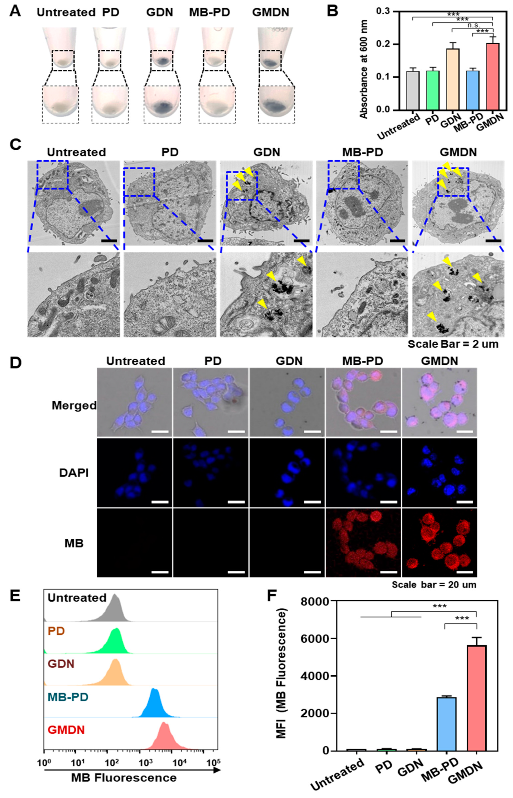 Biomedicines 08 00521 g003