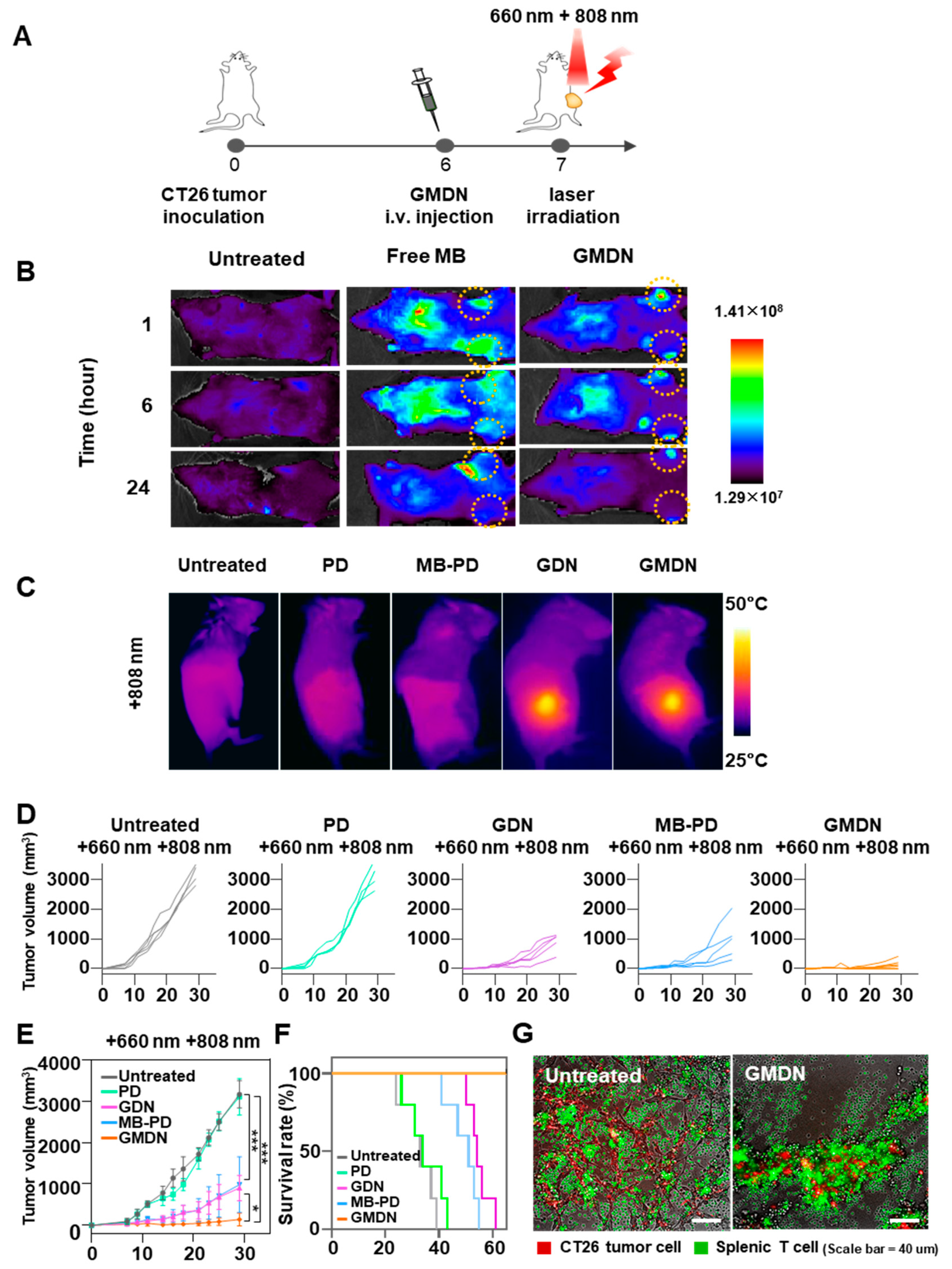 Biomedicines 08 00521 g005