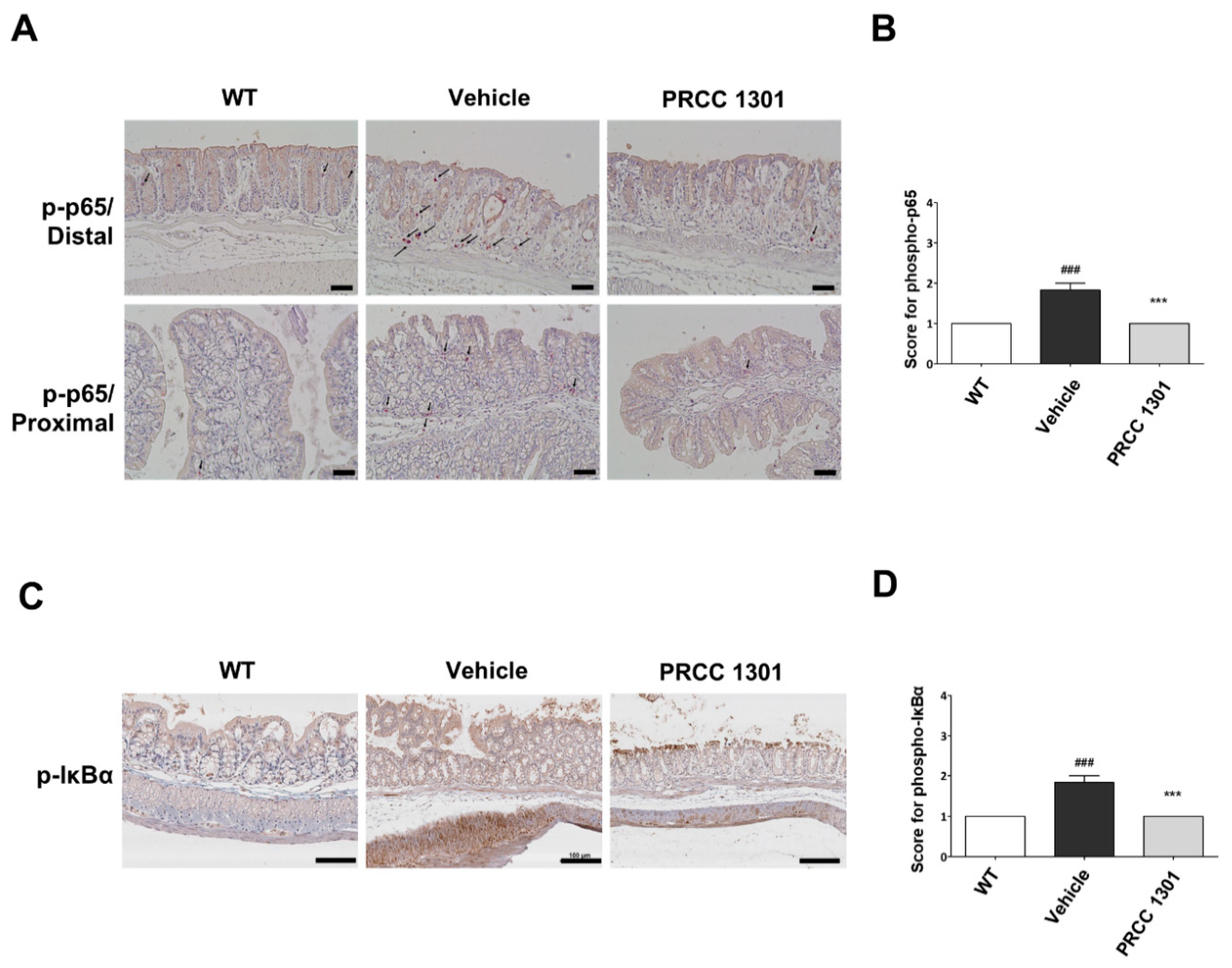 Biomedicines 08 00522 g004 Biomedicines 08 00522 g004