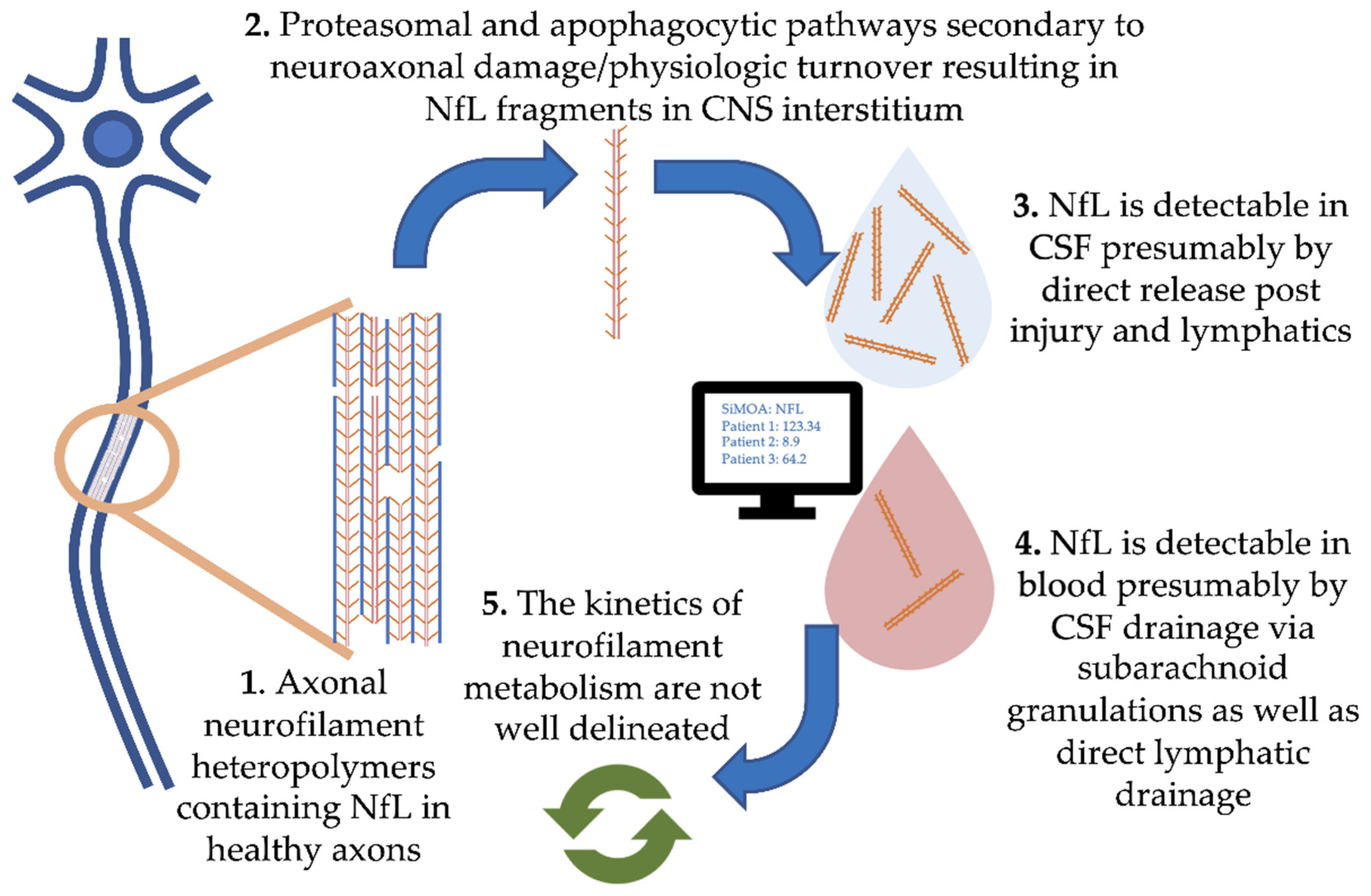 Industriel partner Anmelder Biomedicines | Free Full-Text | Blood Neurofilament Light Chain: The  Neurologist's Troponin?