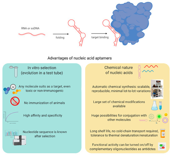 Disease Diagnosis Based on Nucleic Acid Modifications