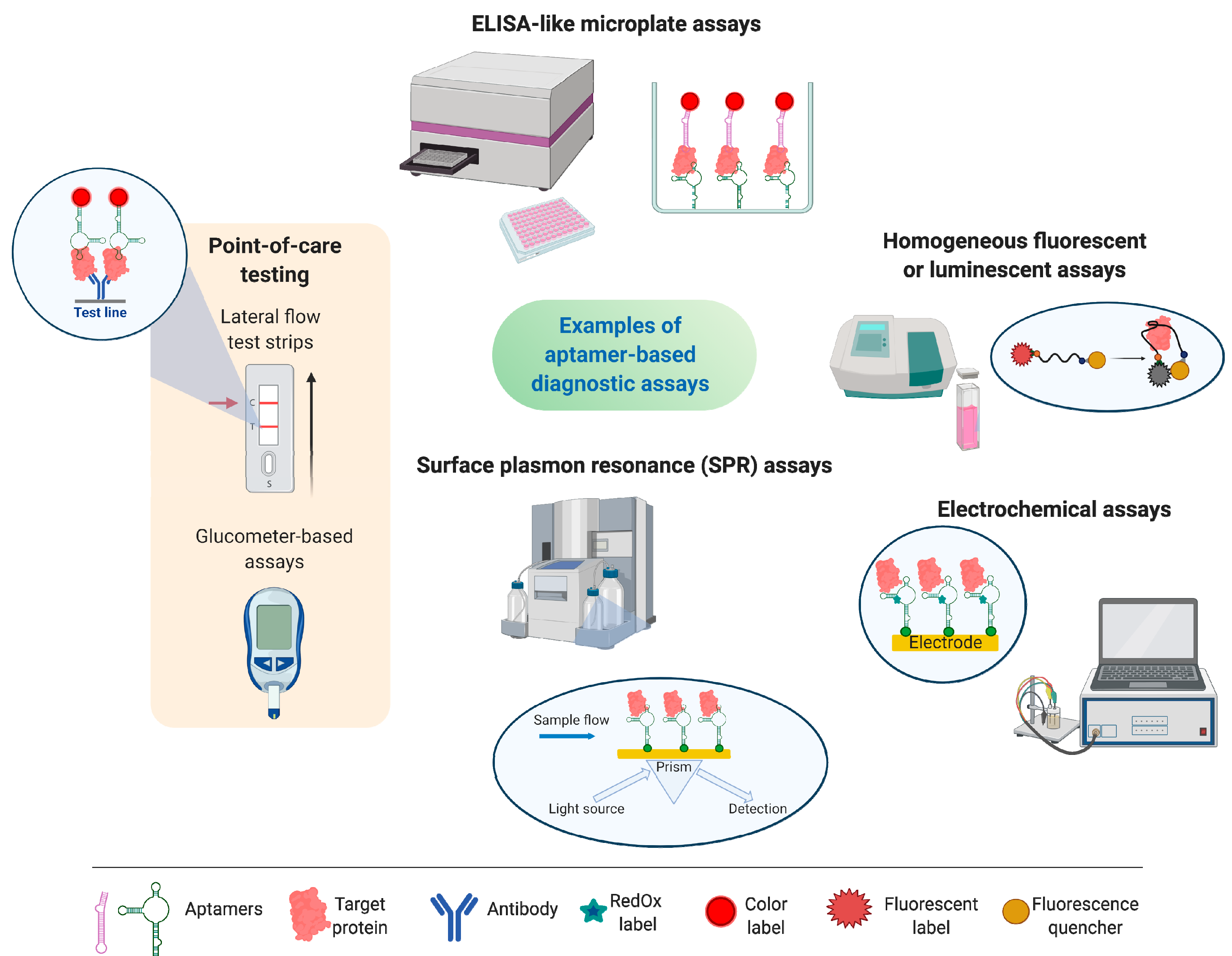 Biomedicines 08 00527 g004